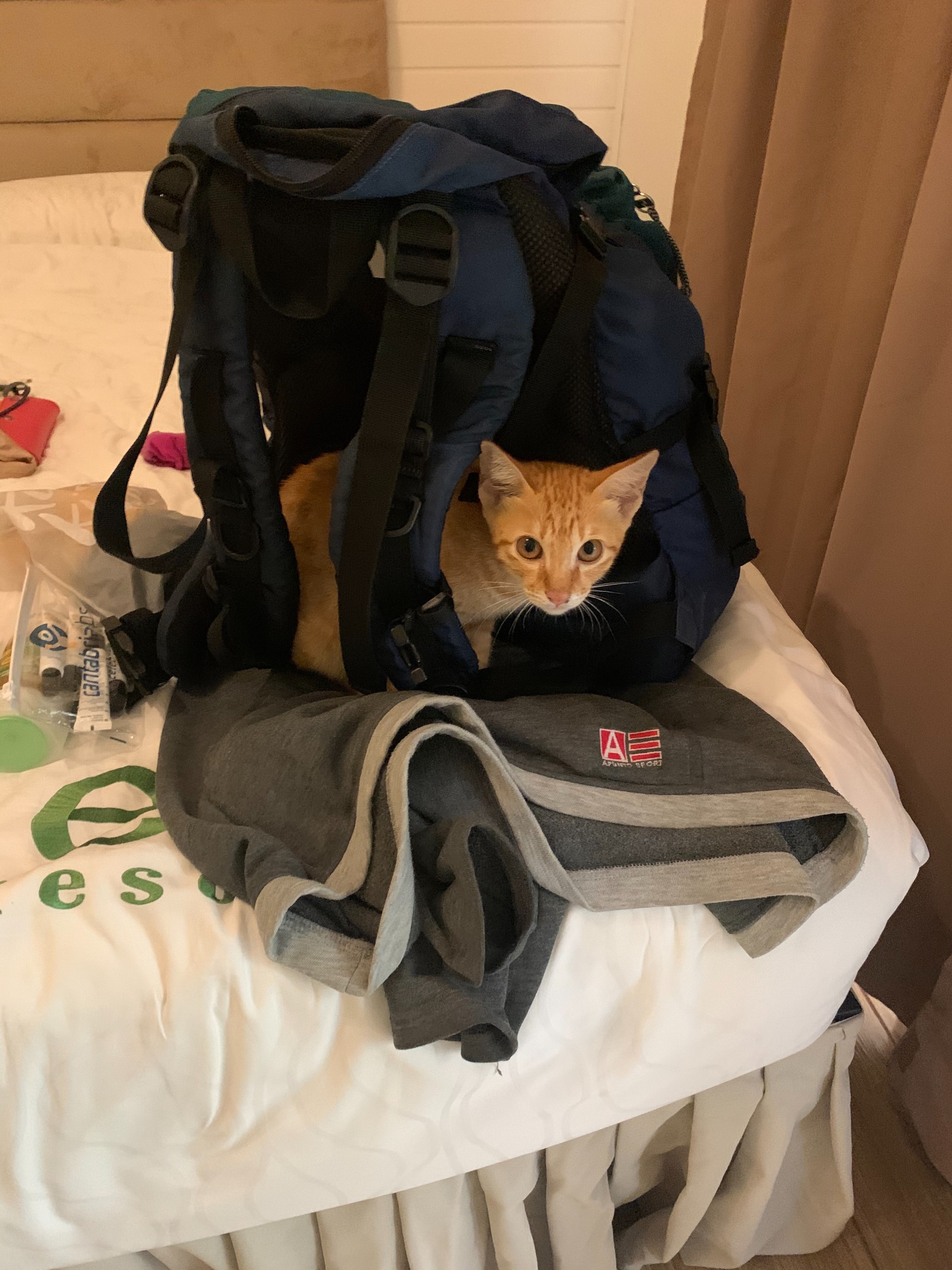 image-6