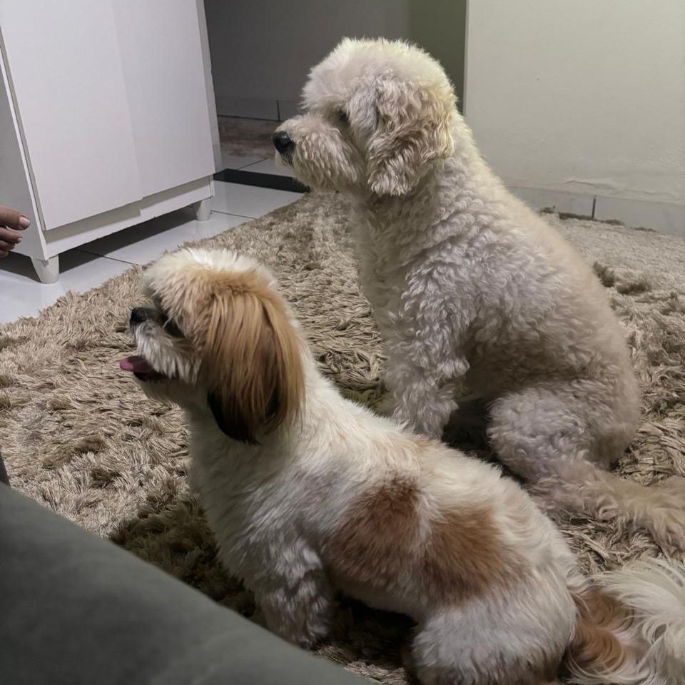 Luck and Téo