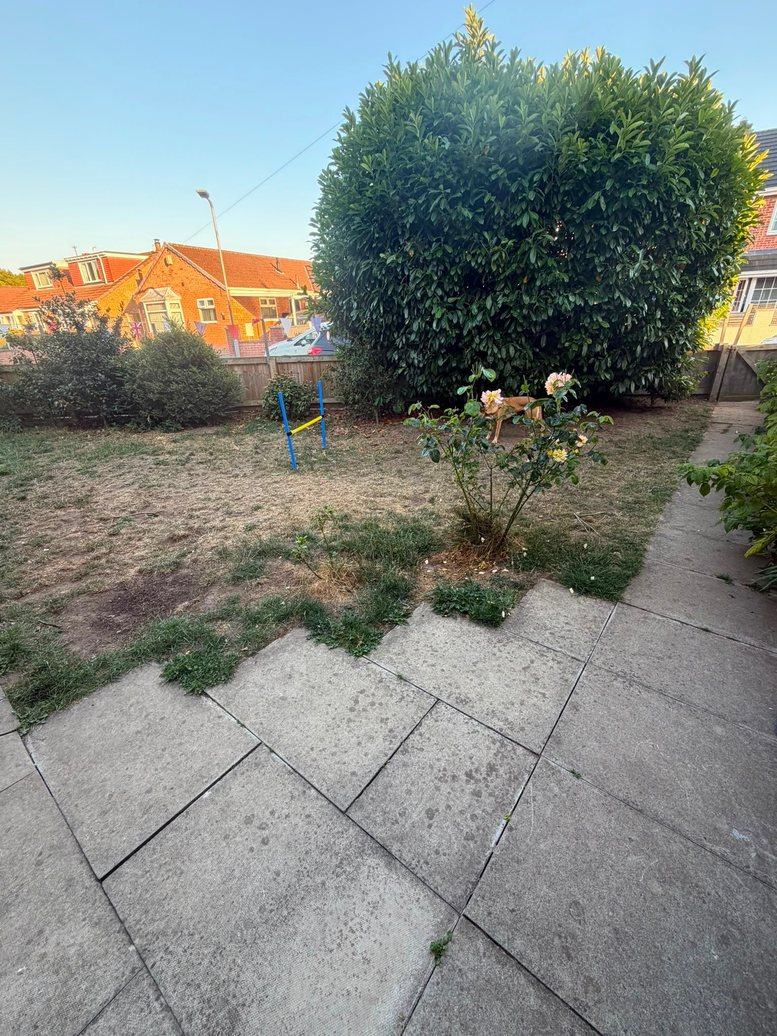 image-16