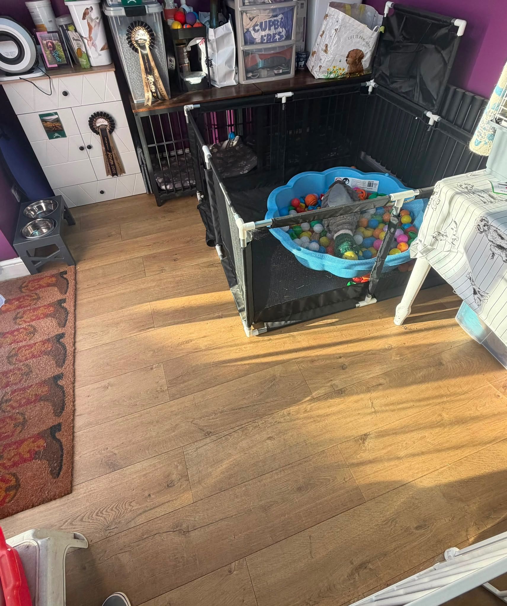 image-19