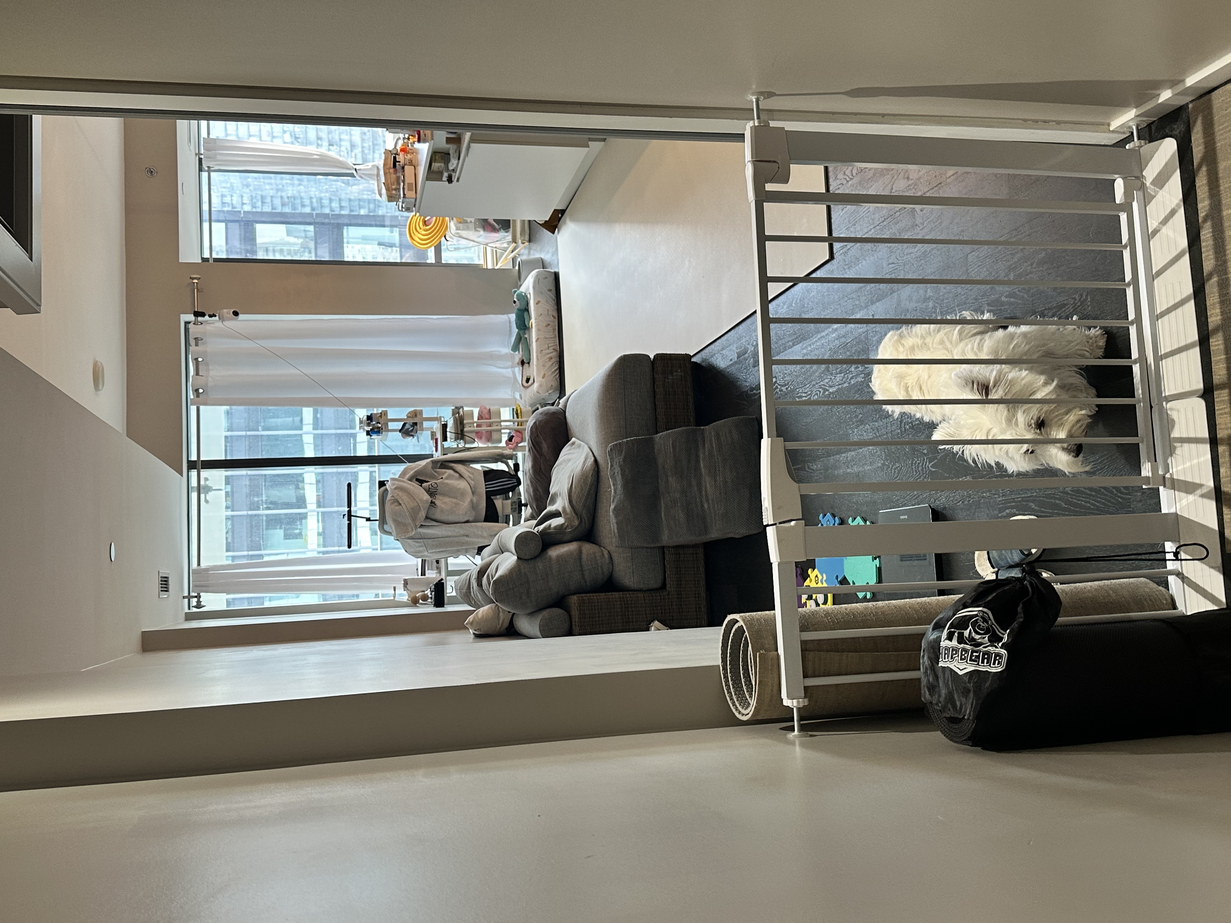 image-19