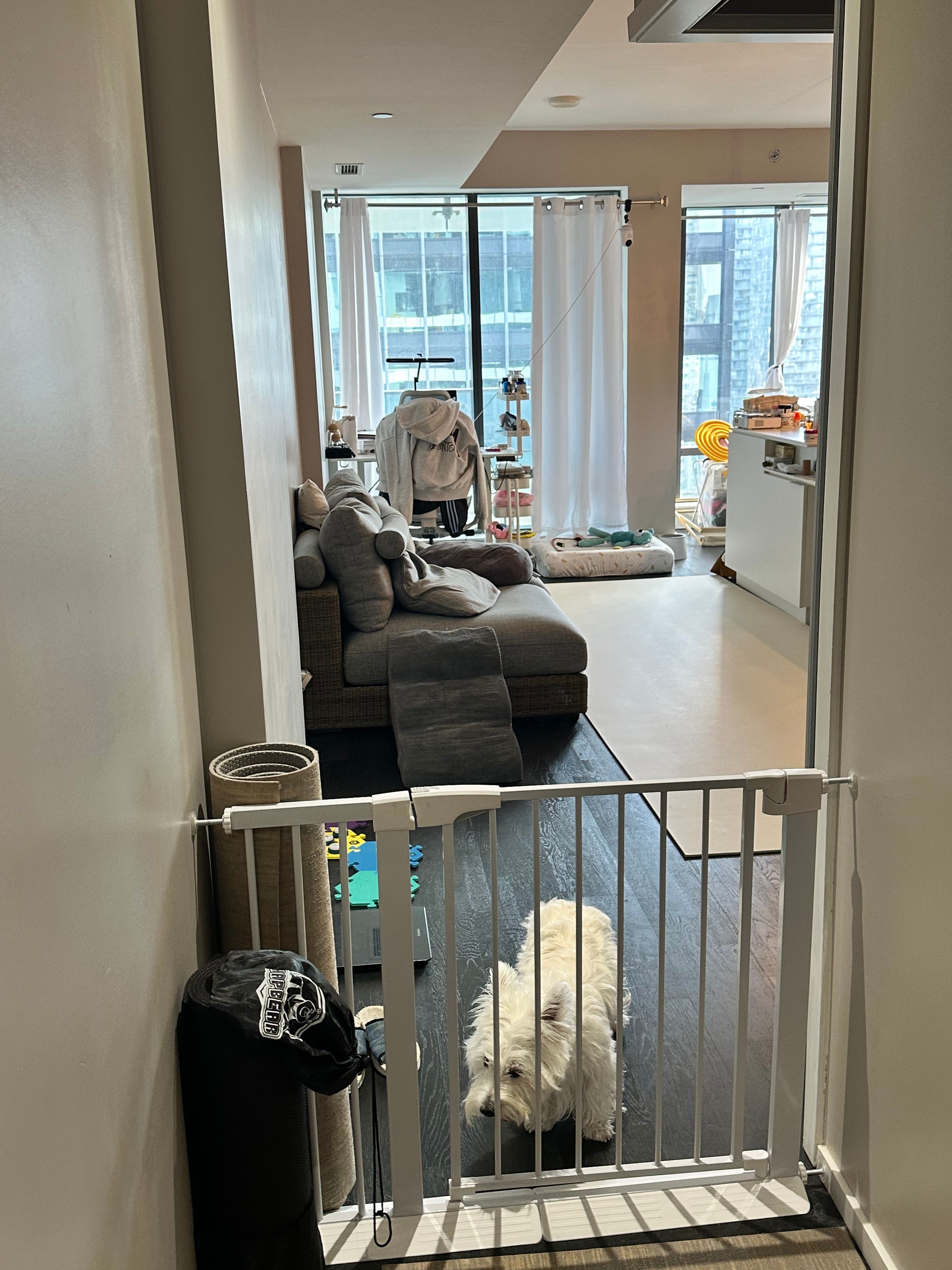 image-19