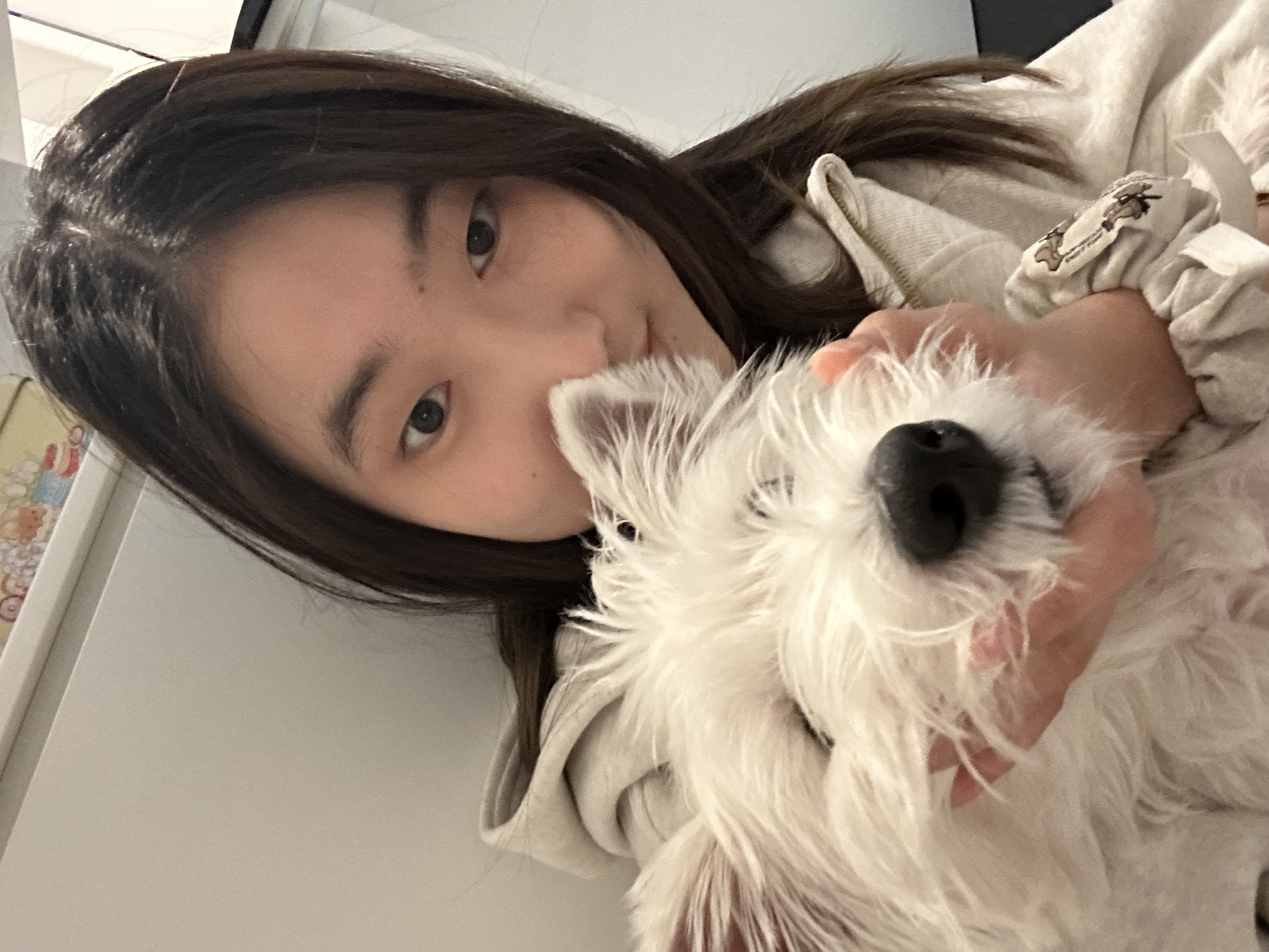 image-15