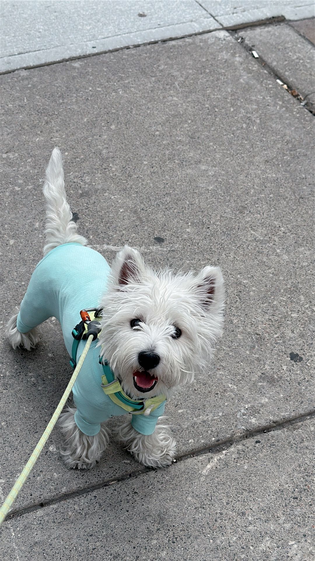 image-8
