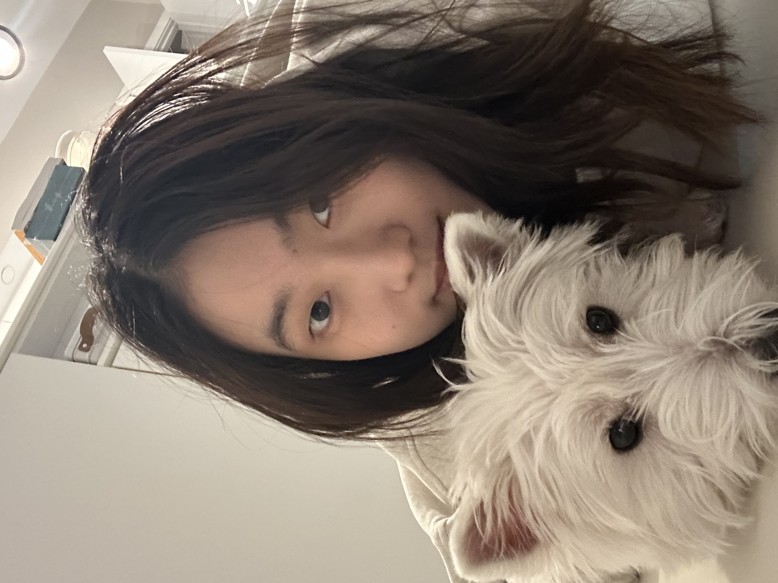 image-5