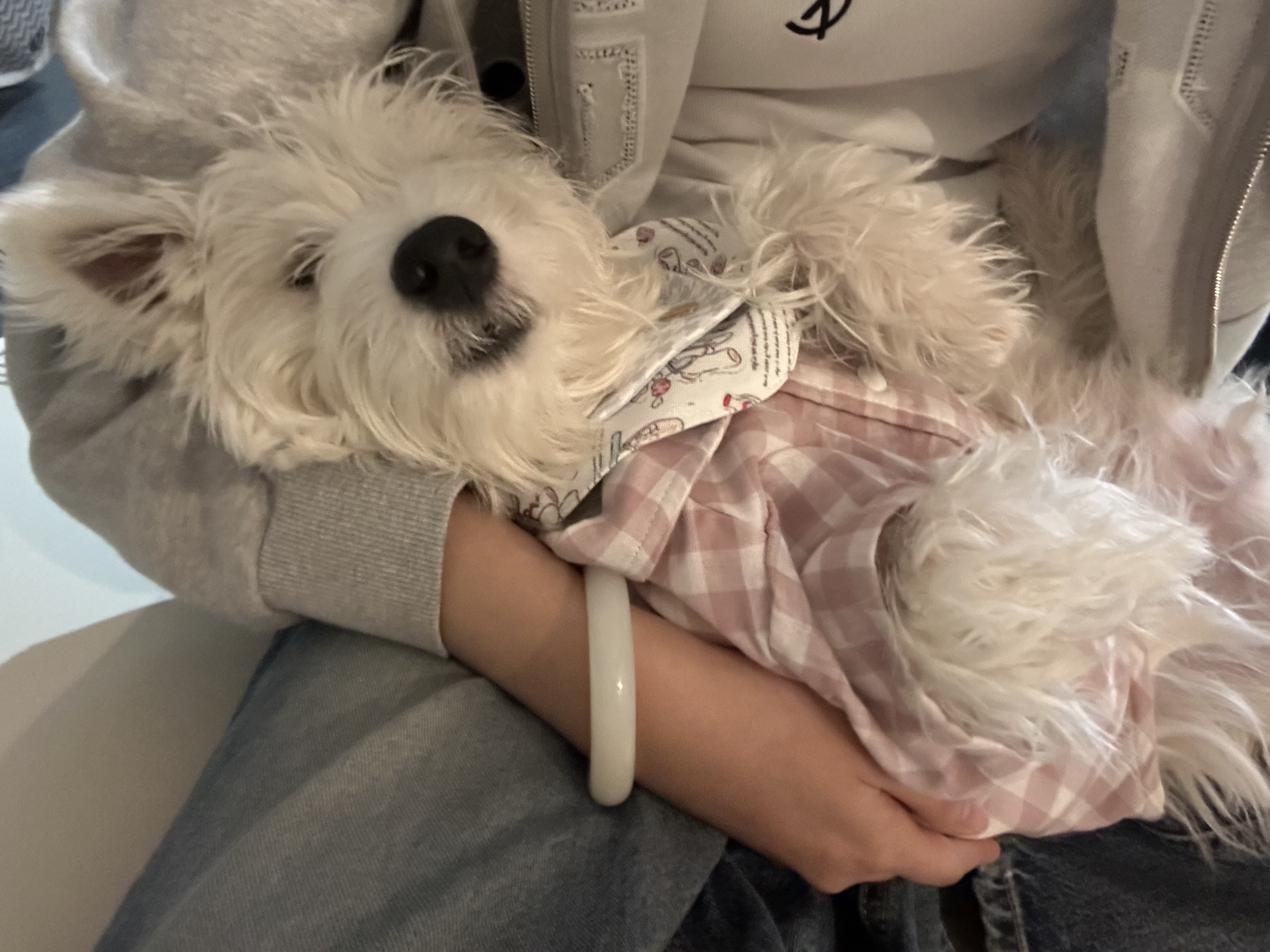 image-9