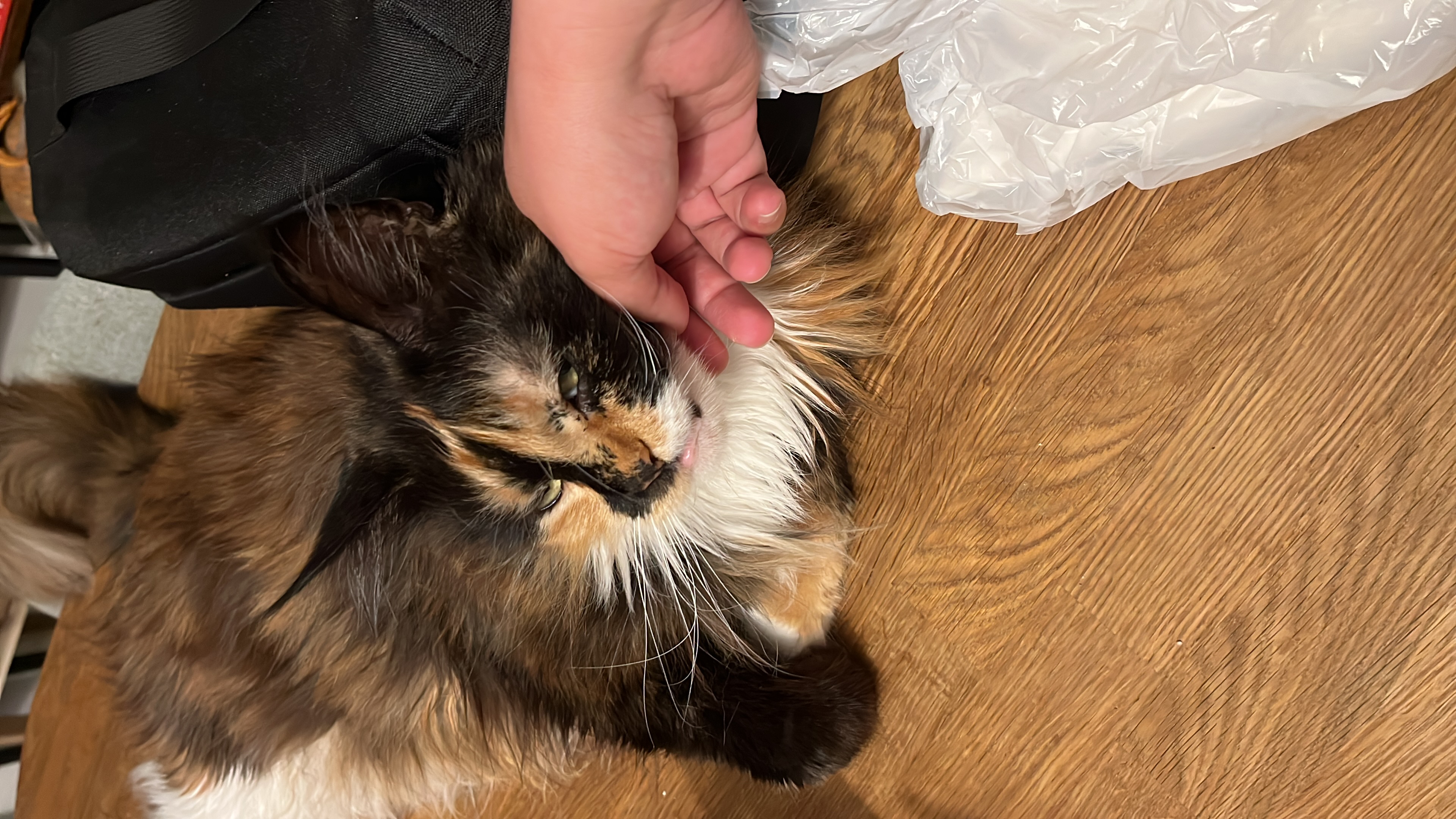 image-11