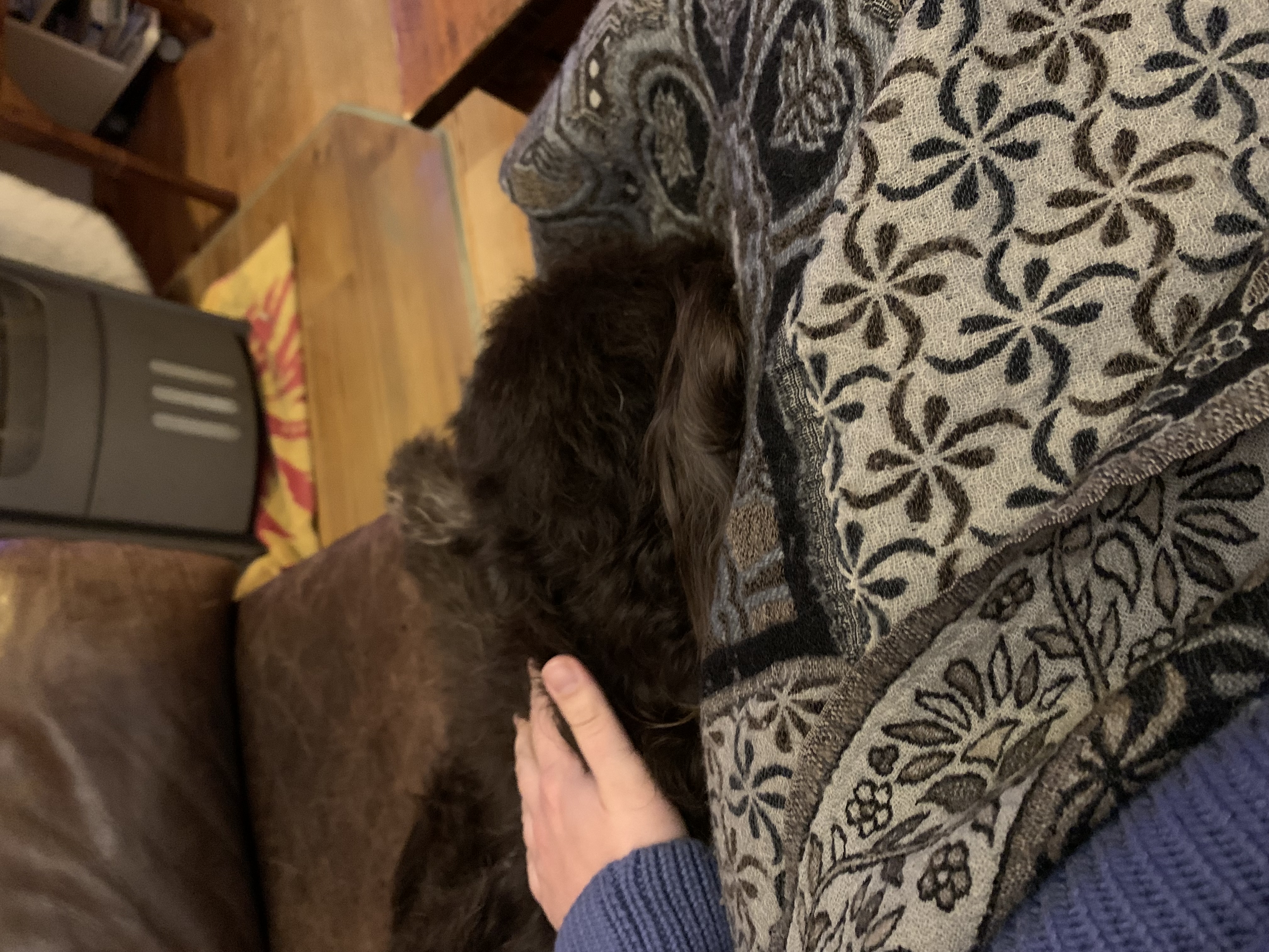 image-12