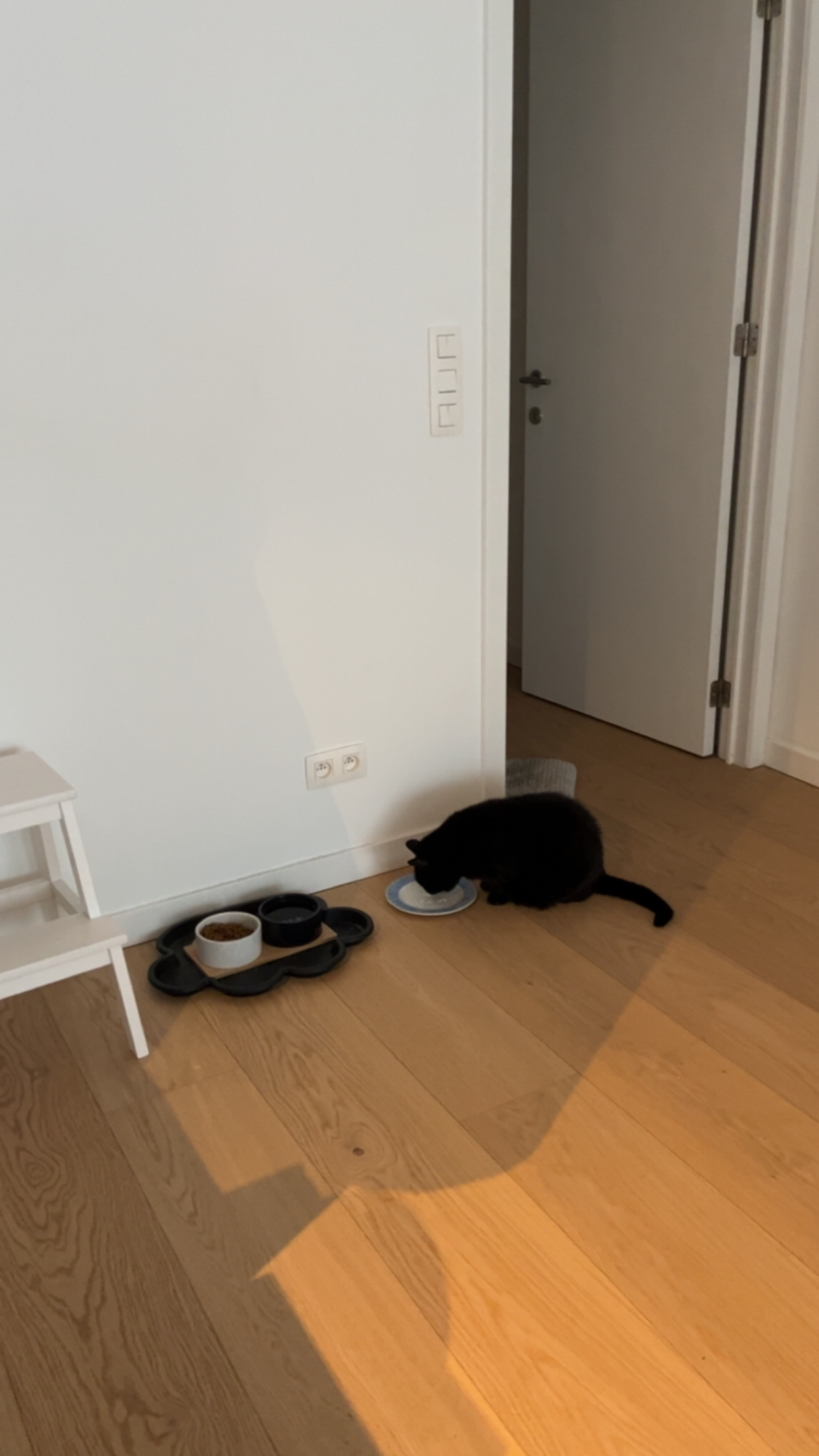 image-17