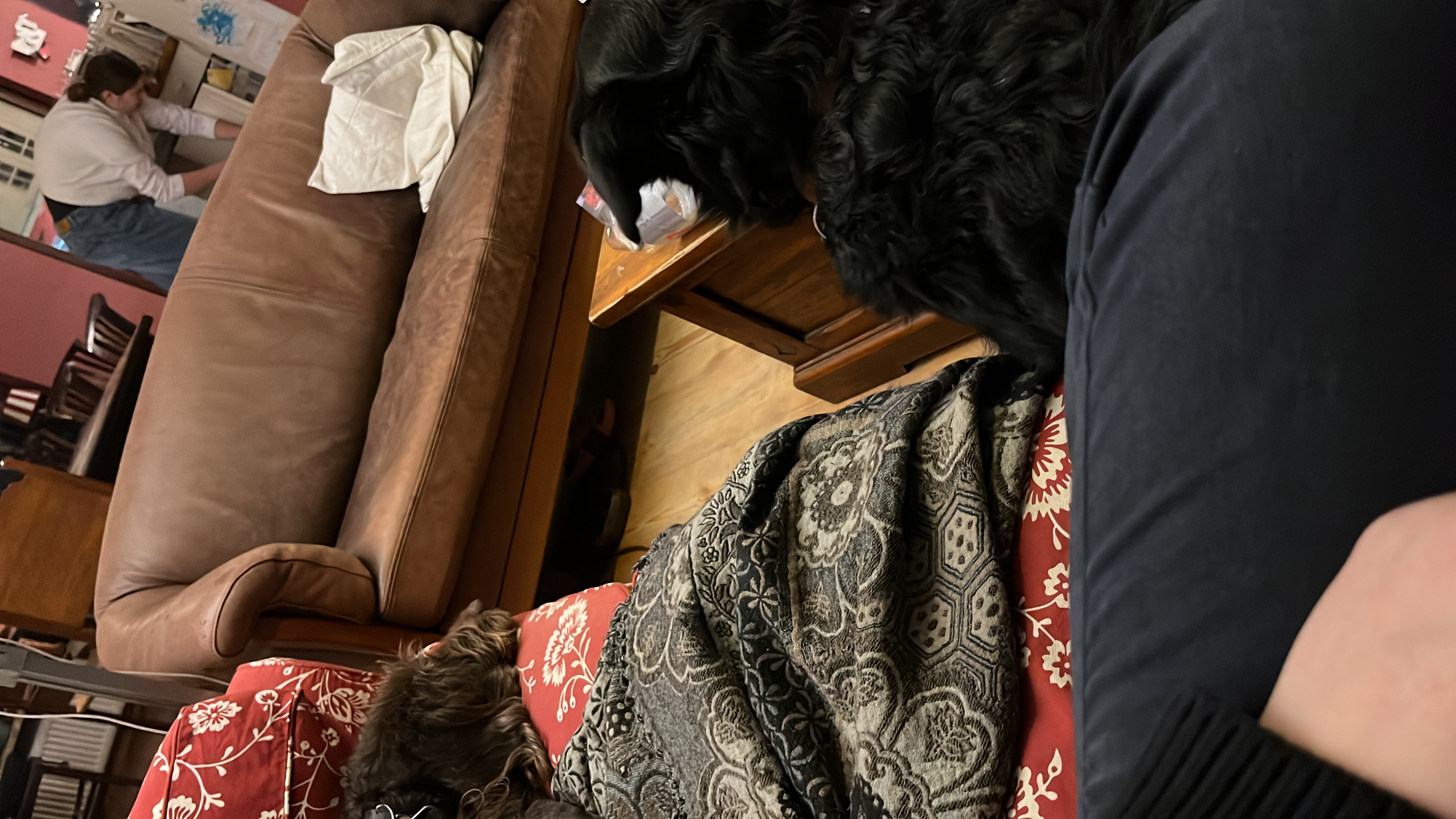 image-4