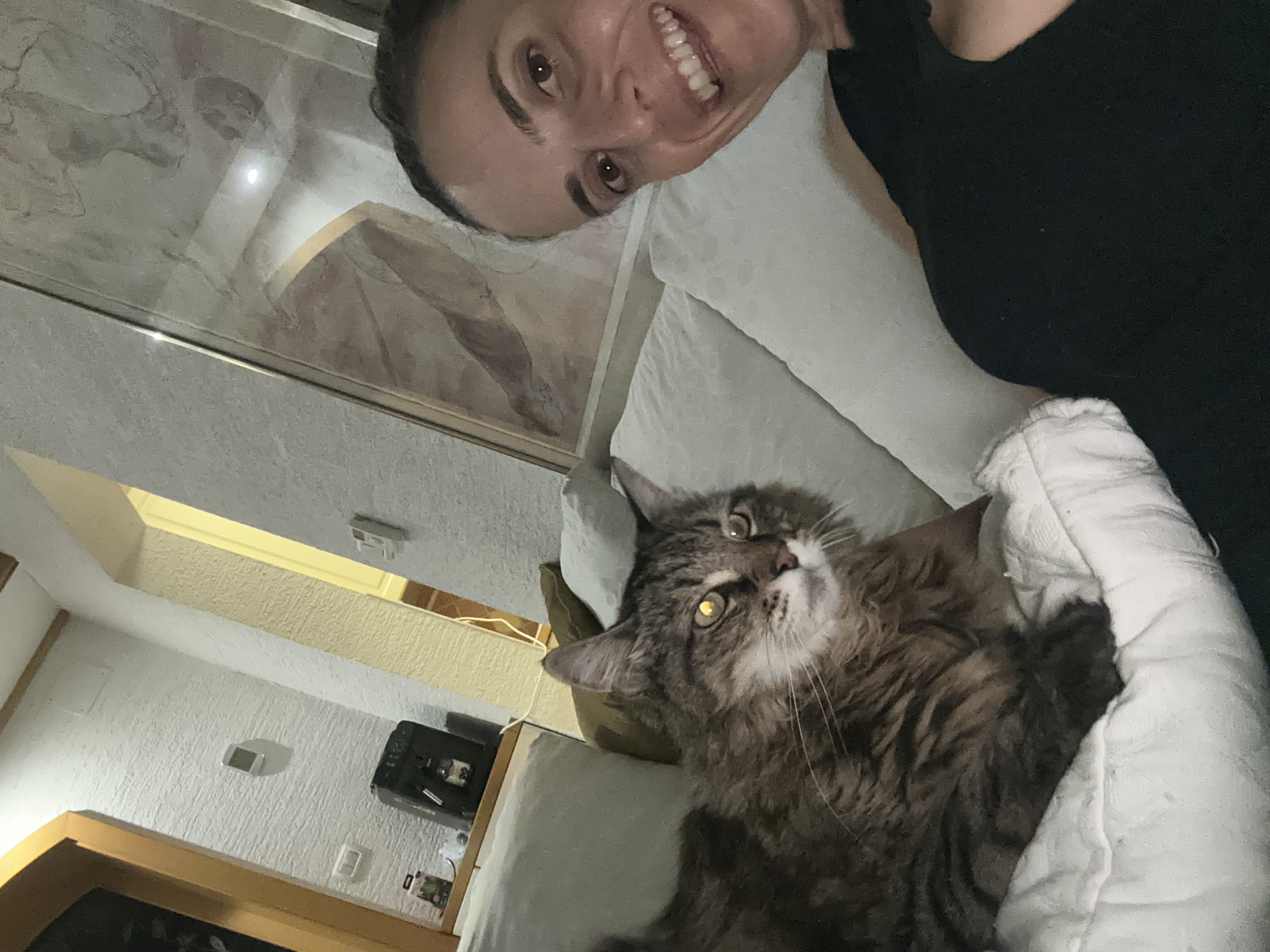 image-7