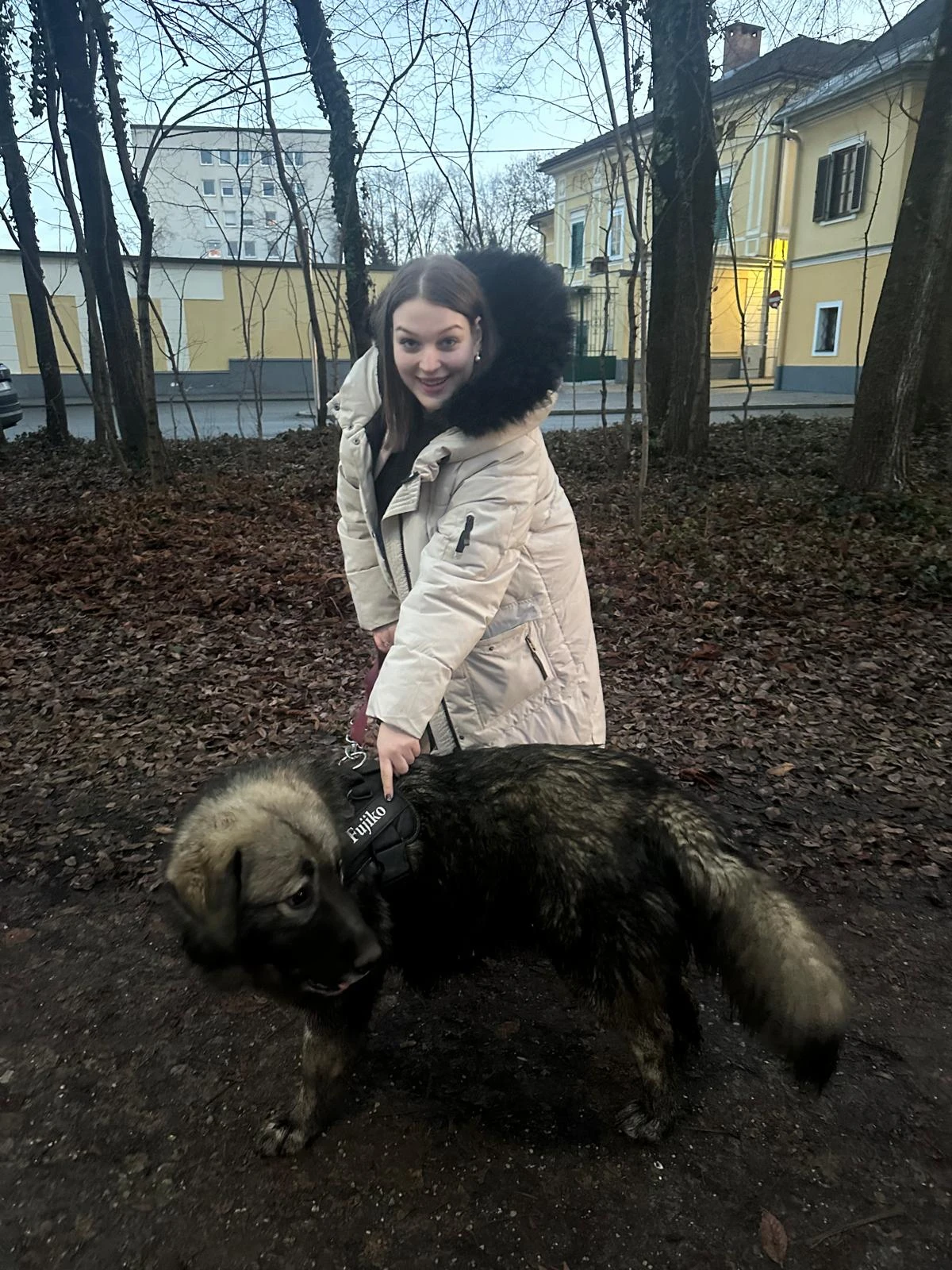 image-6