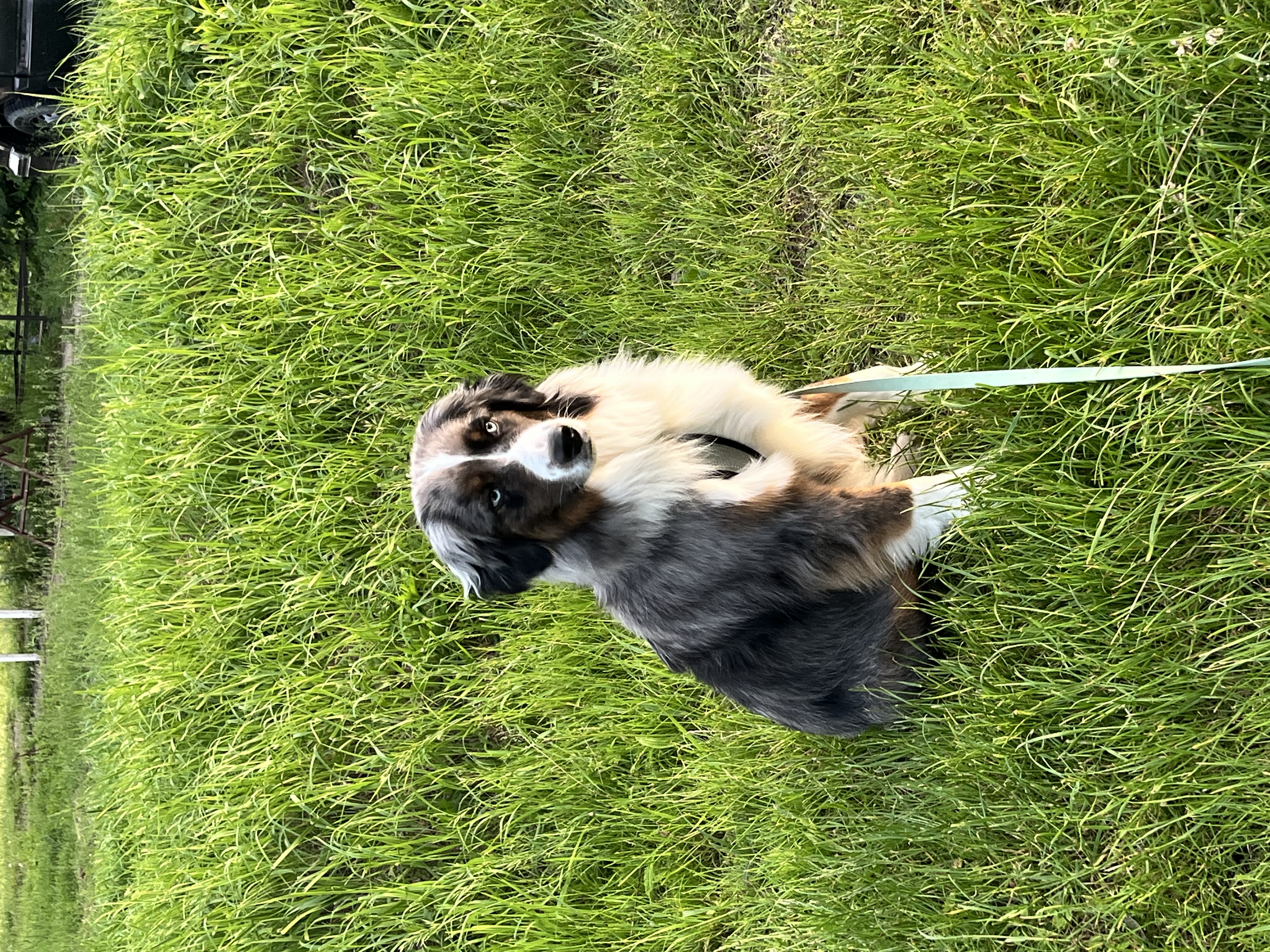 image-6