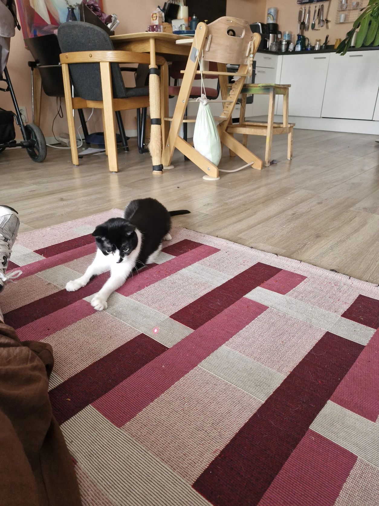 image-11