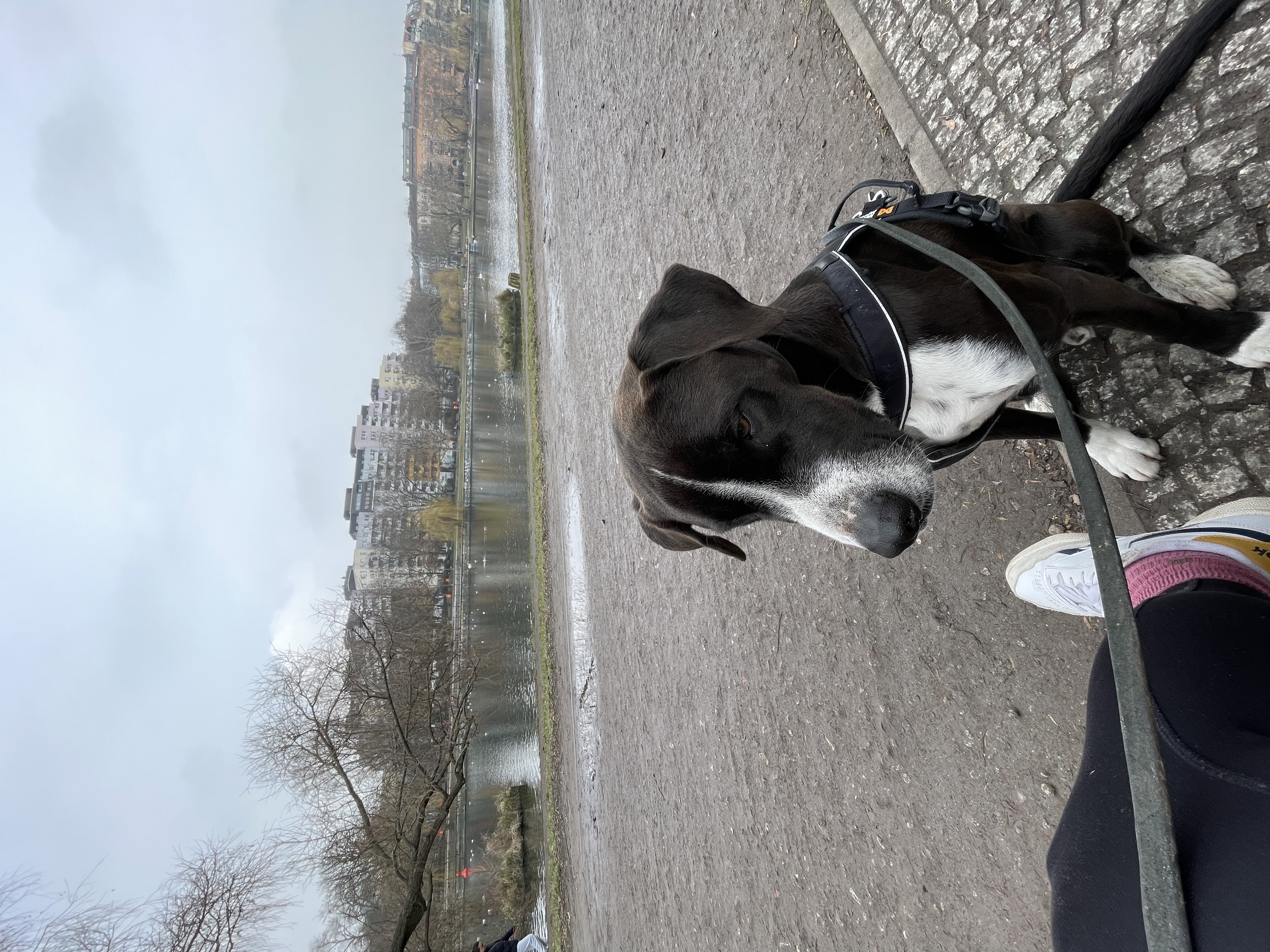 image-7