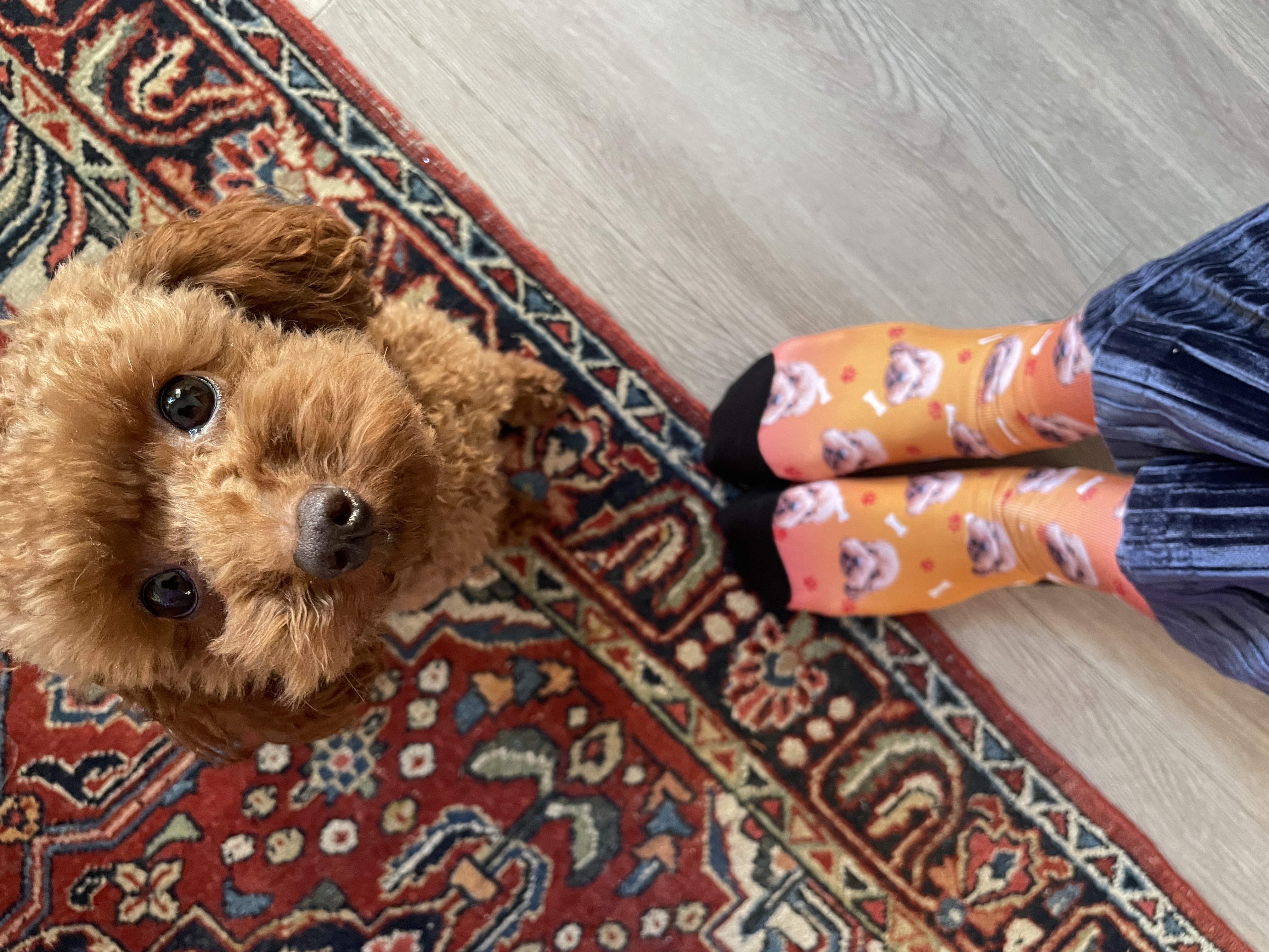 image-9