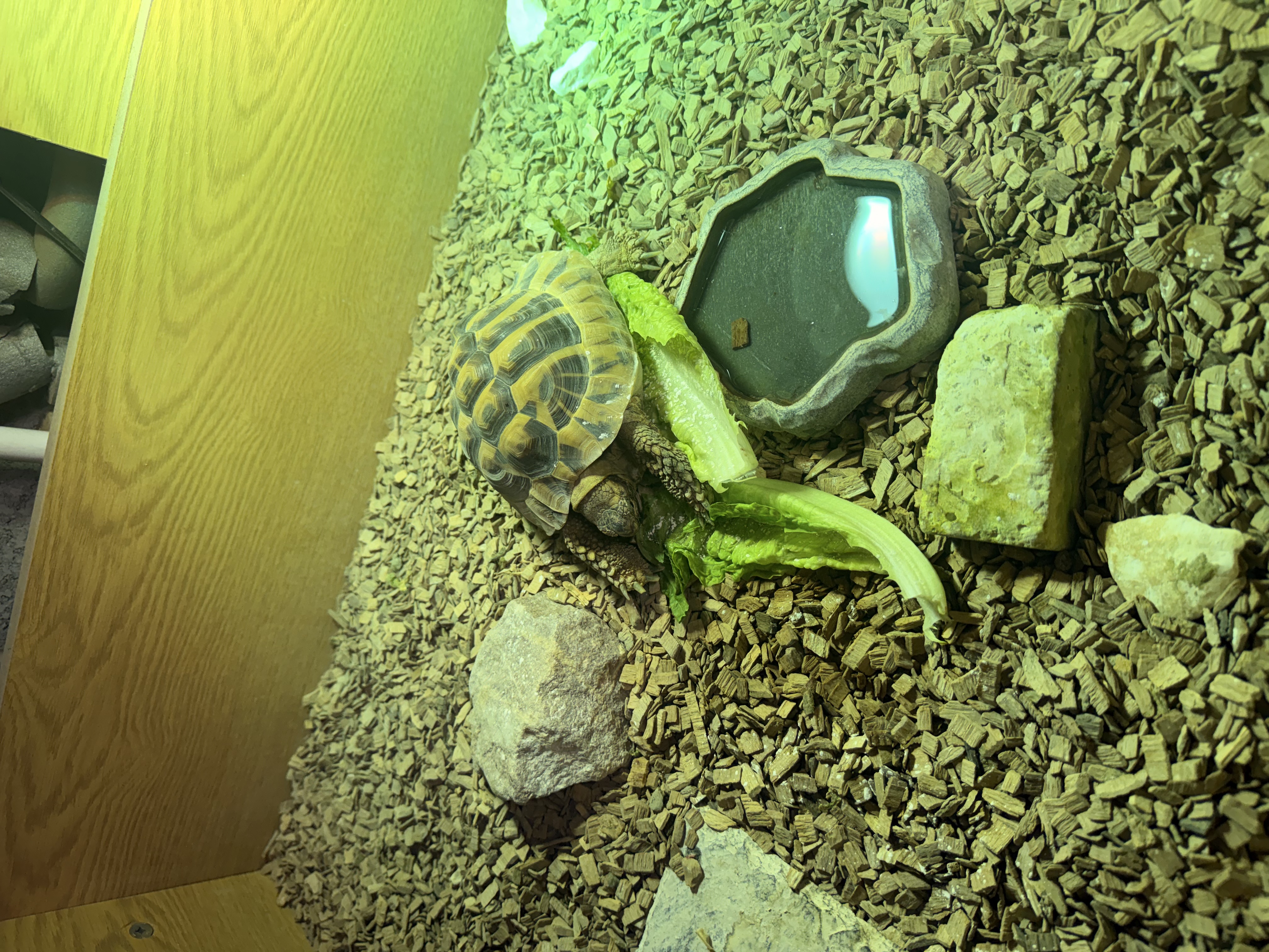 image-8