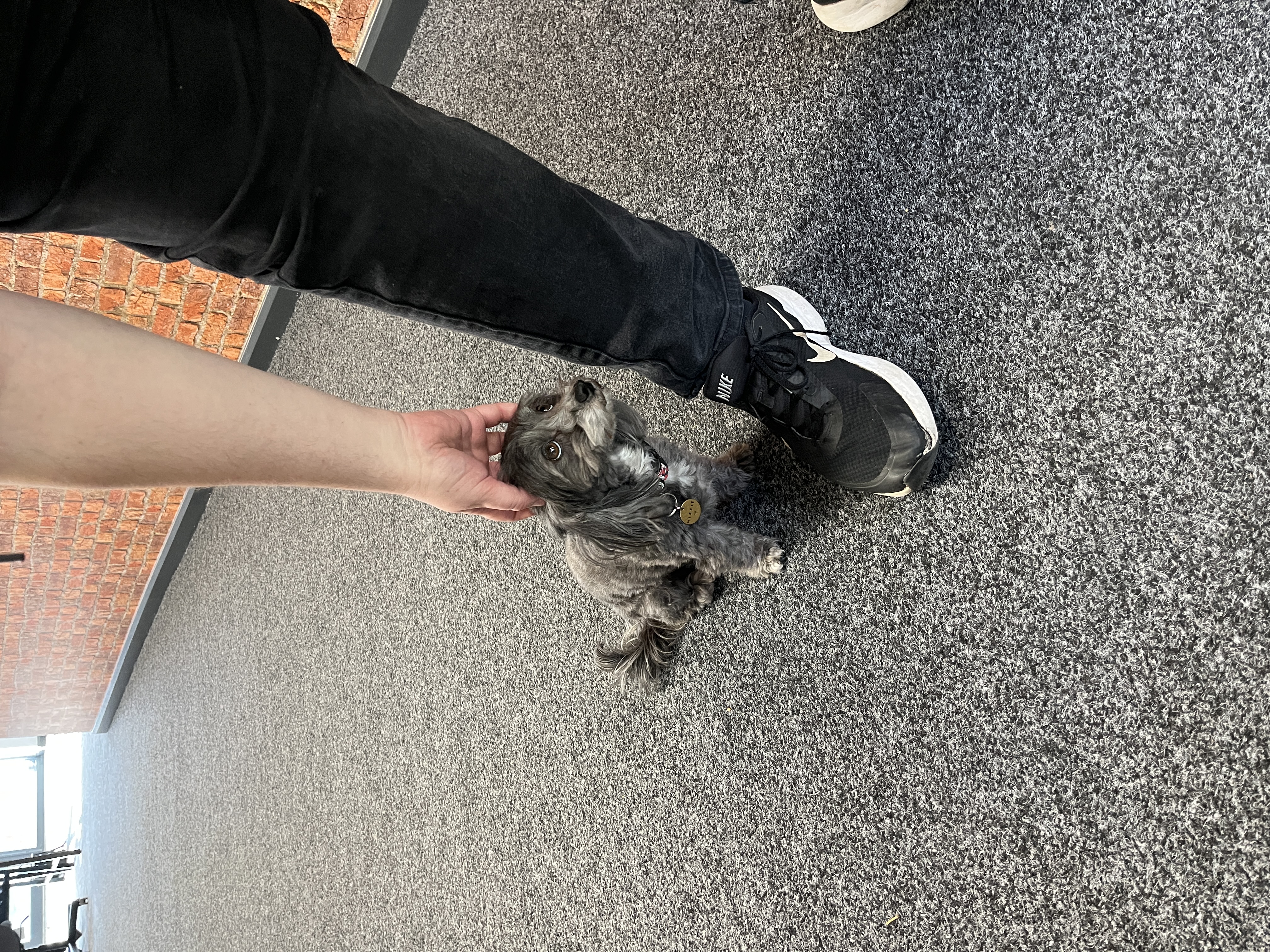 image-6