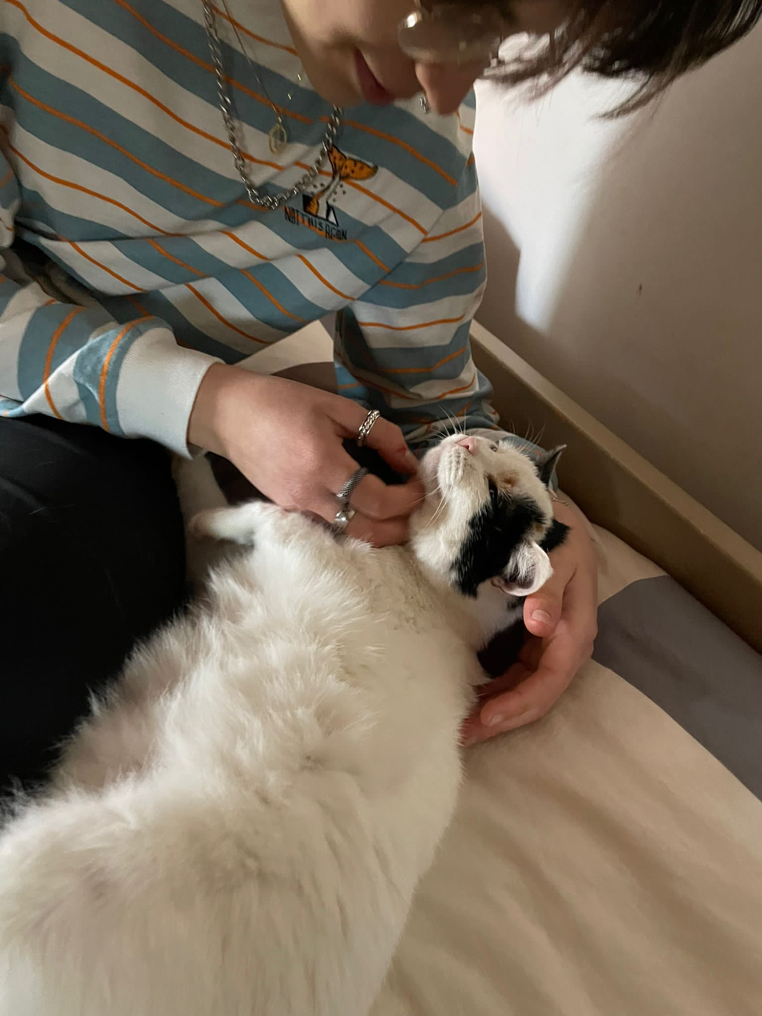 image-7