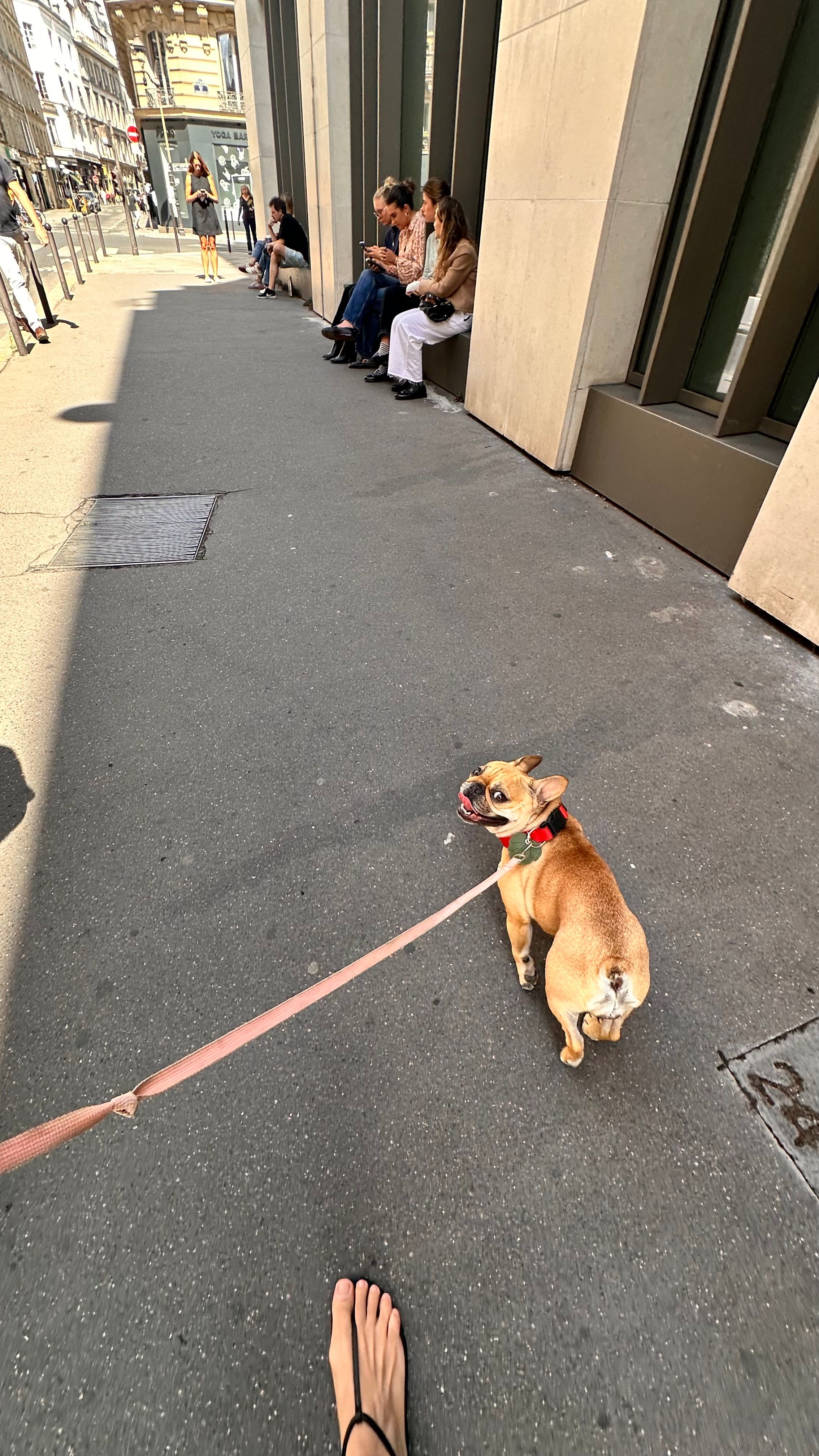 image-13