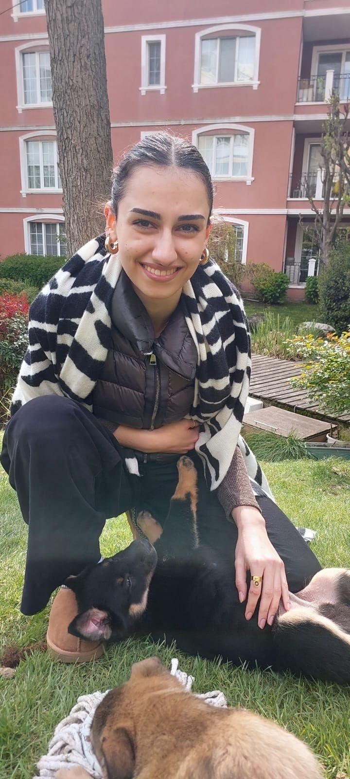 image-8