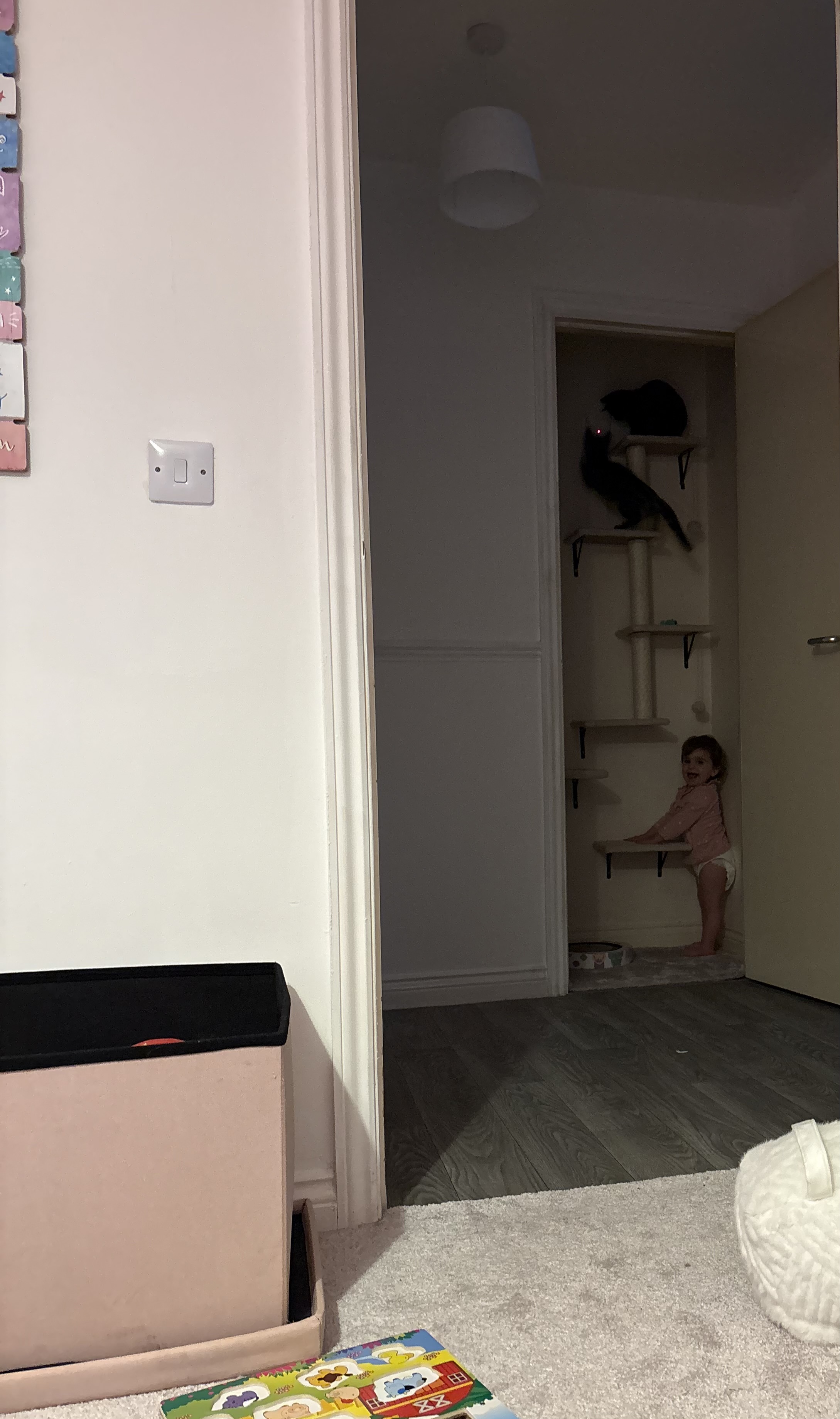 image-16
