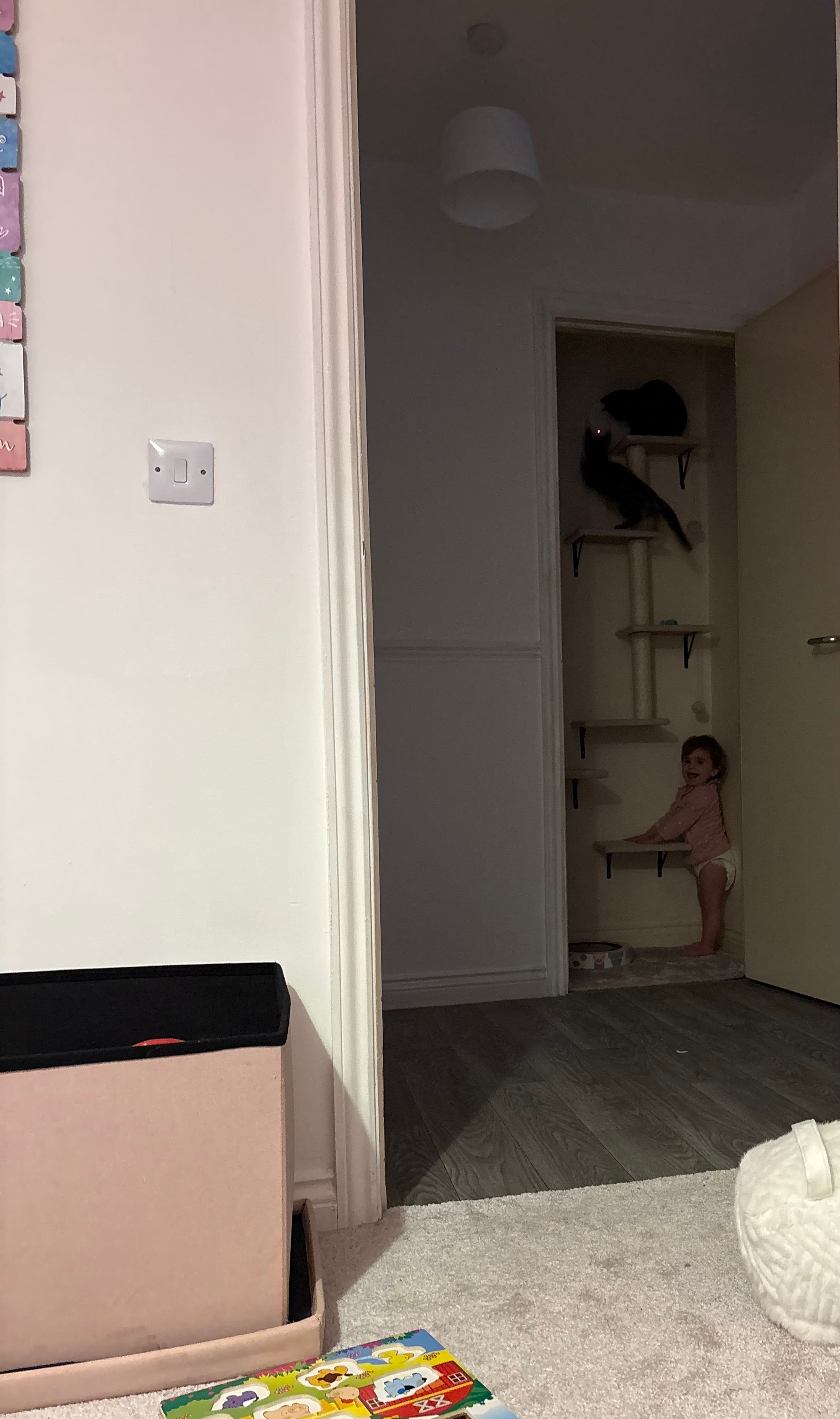 image-16