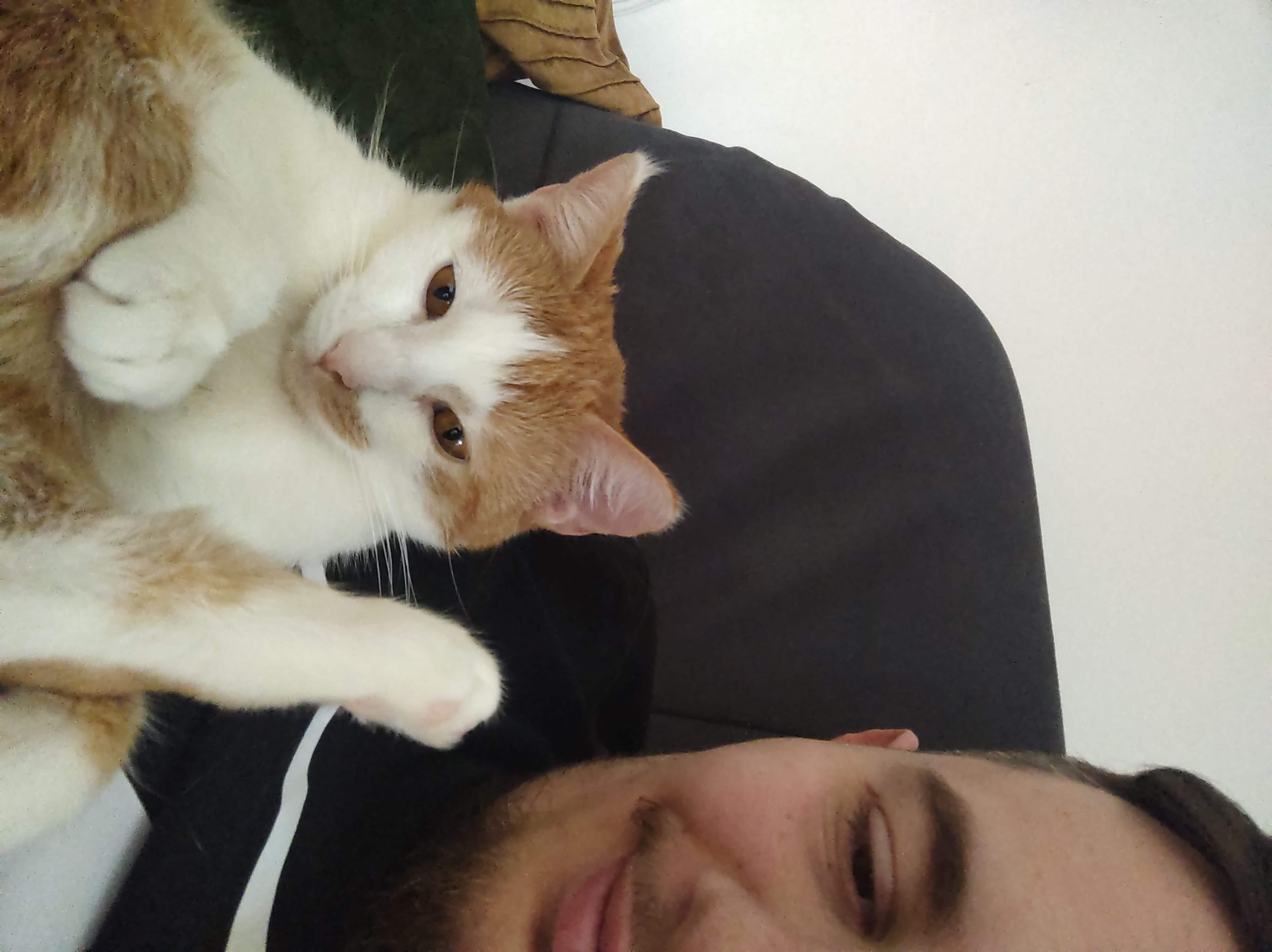 image-5