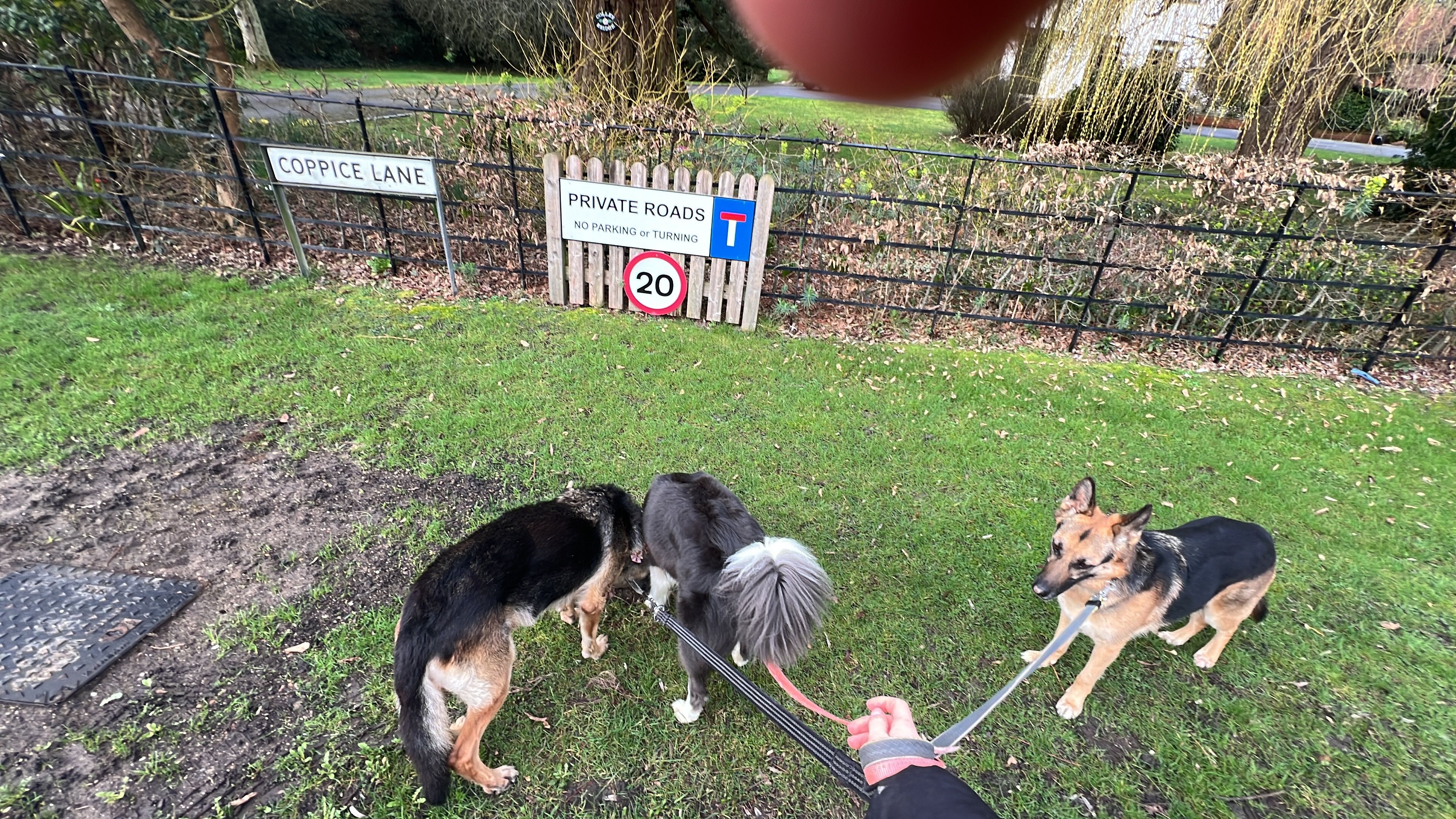 image-4