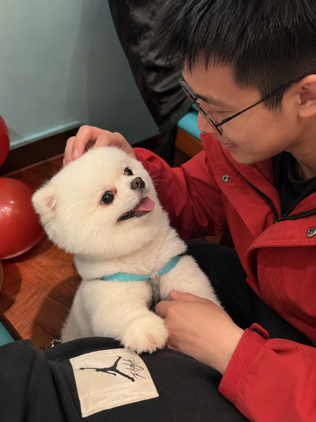 image-8