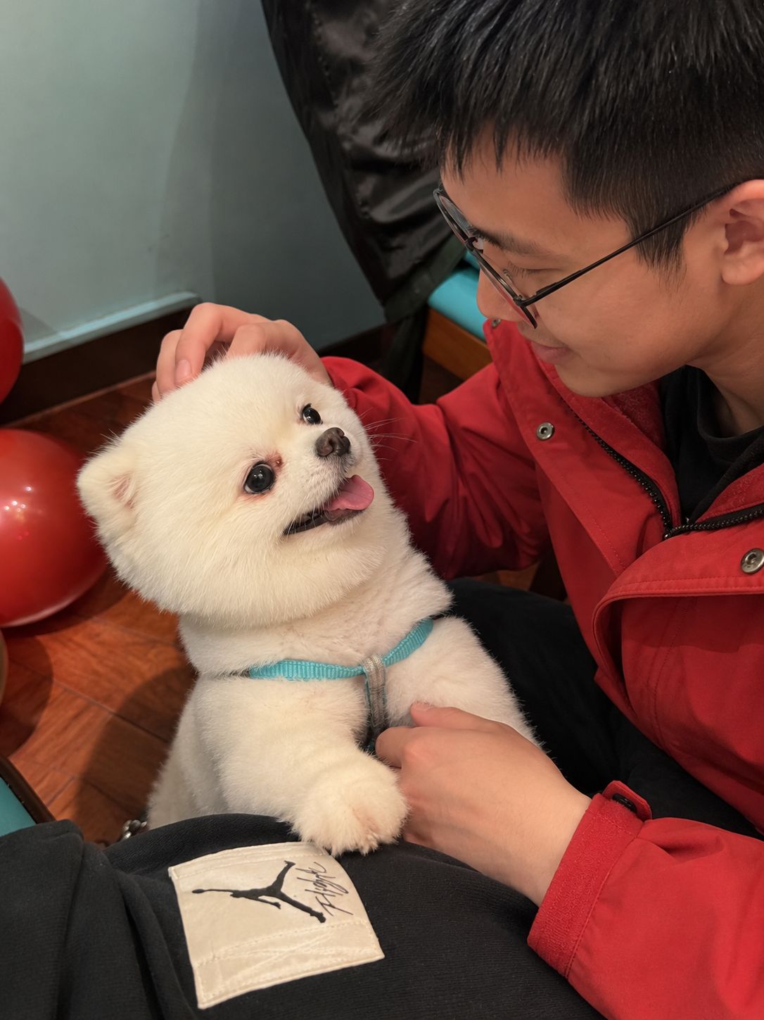 image-8