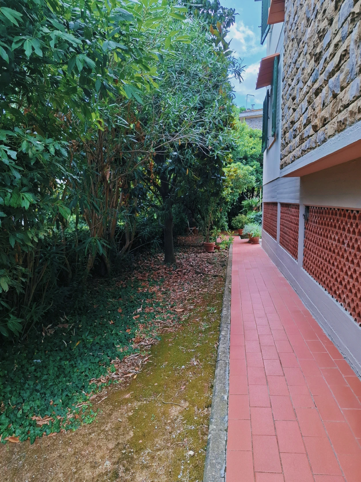image-14
