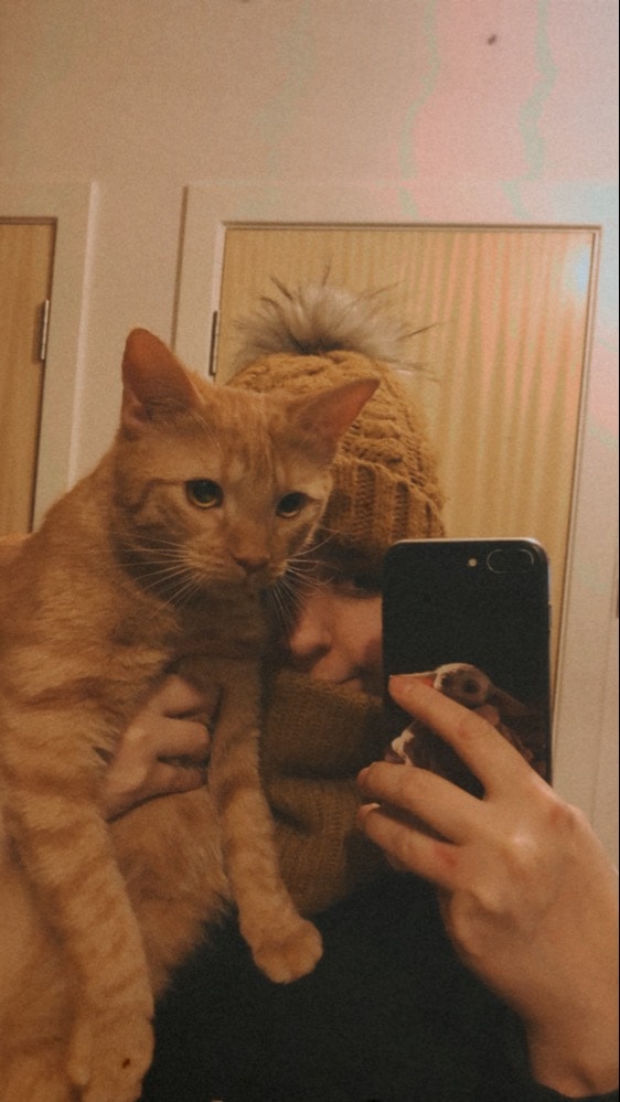 image-5