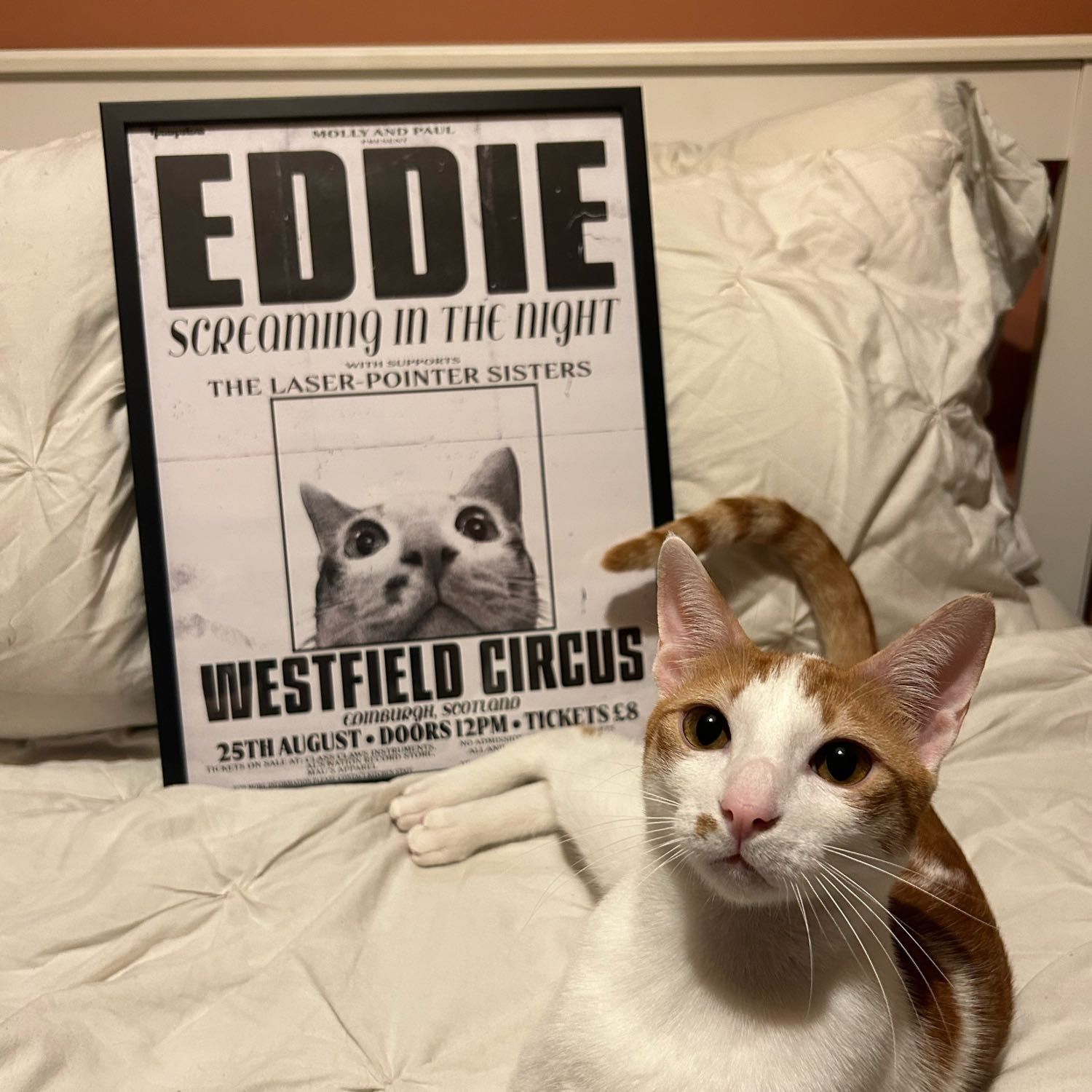 Eddie