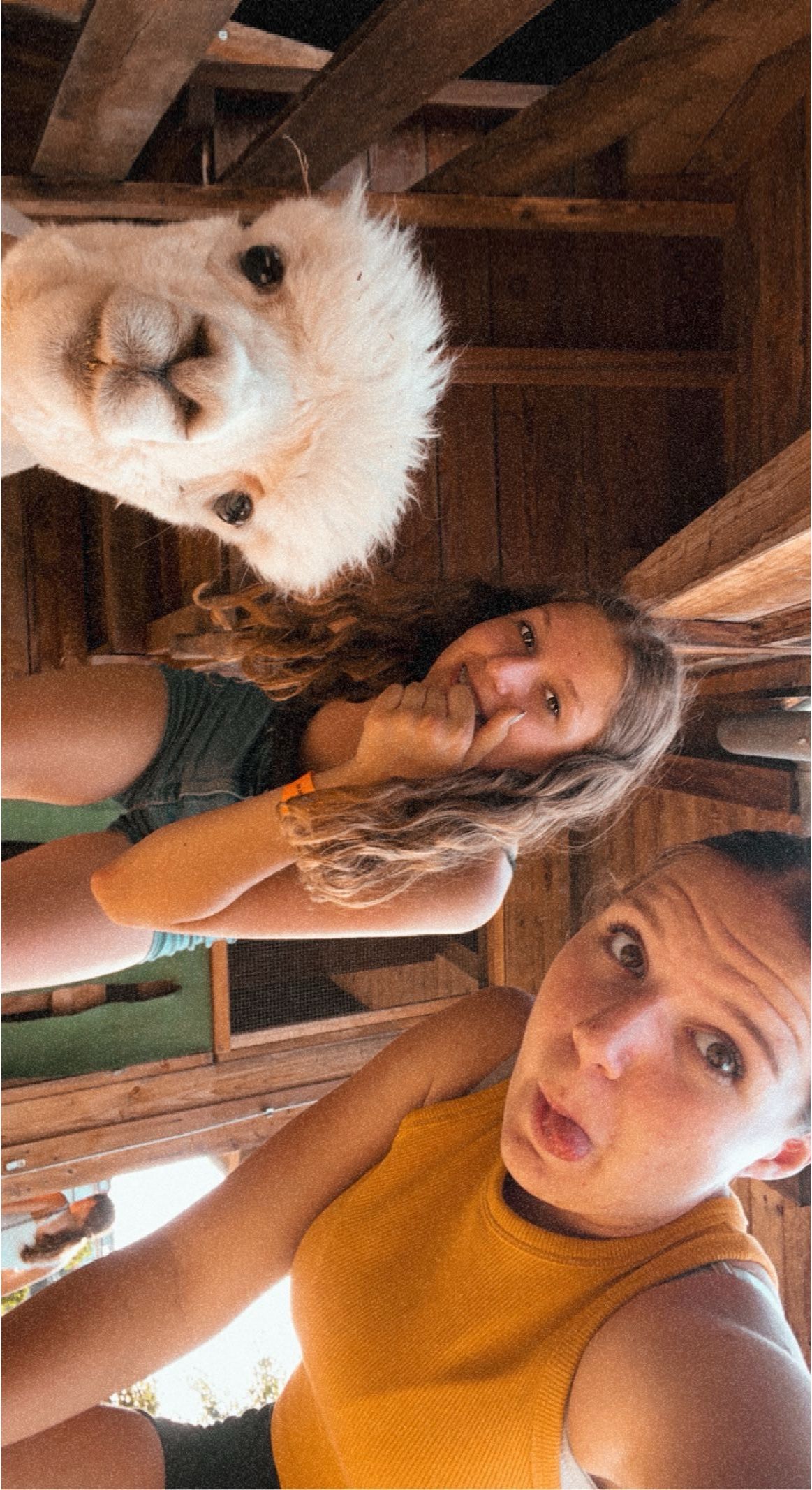 image-0