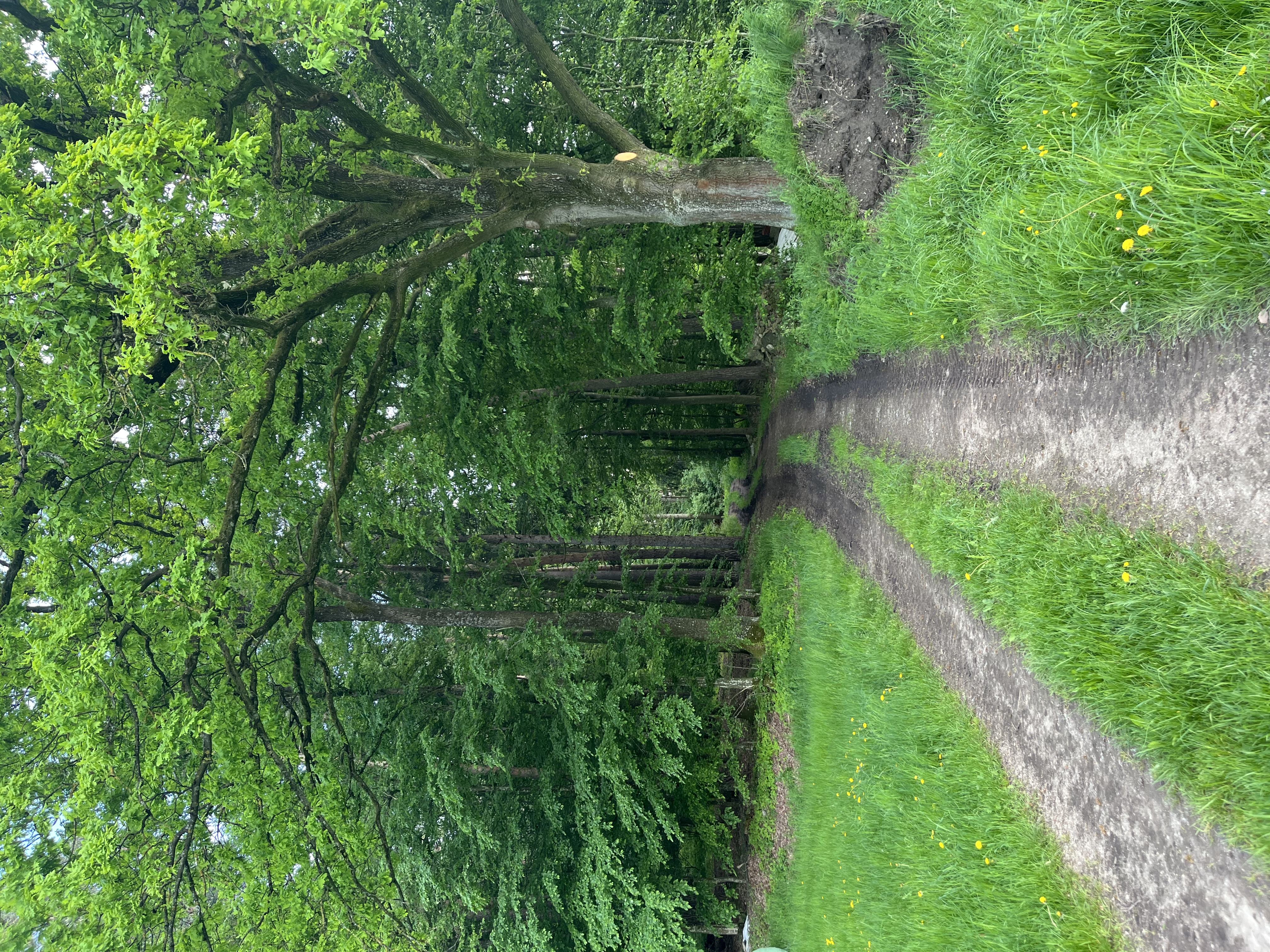 image-16