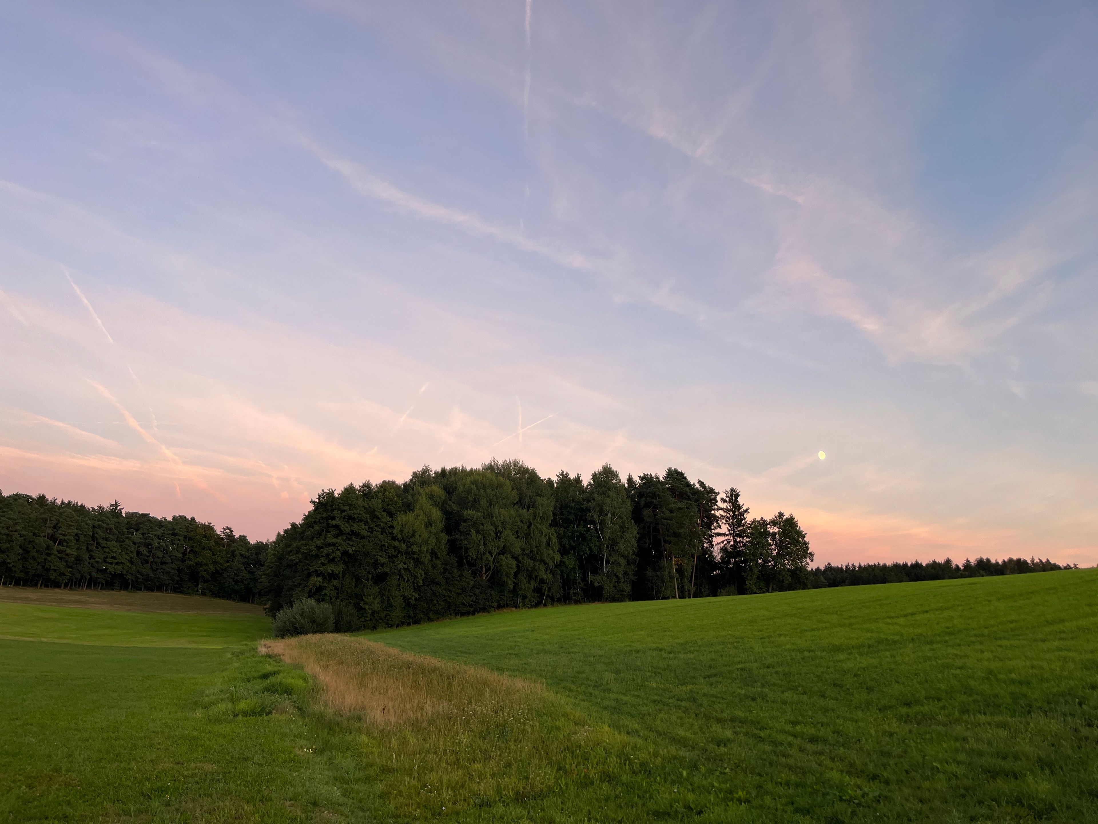 image-17
