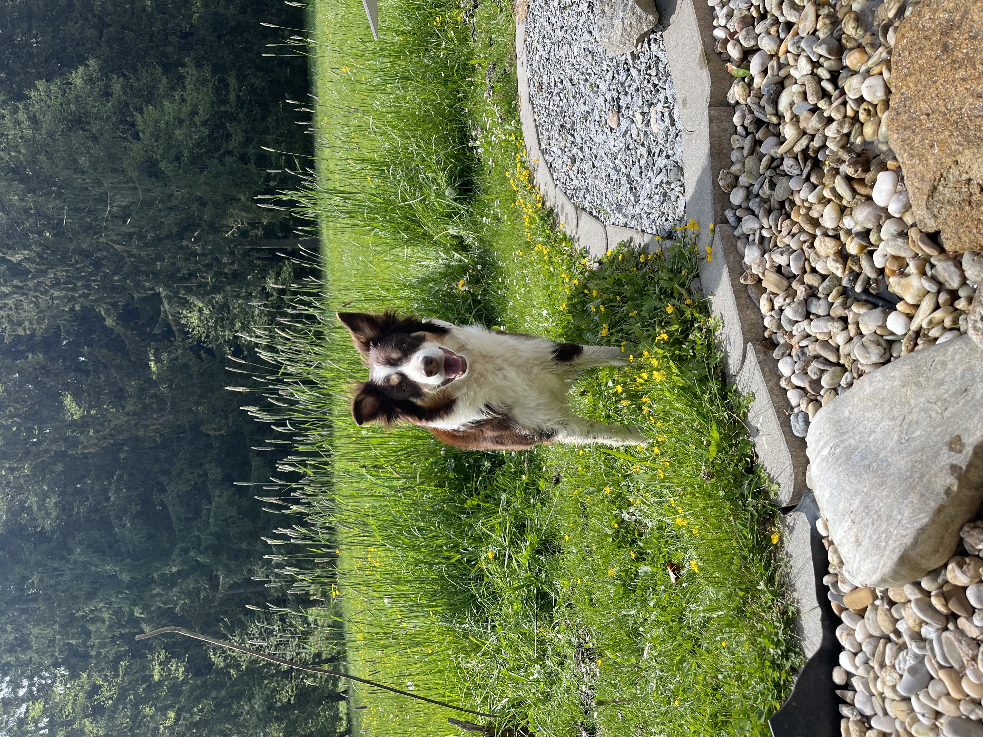 image-15