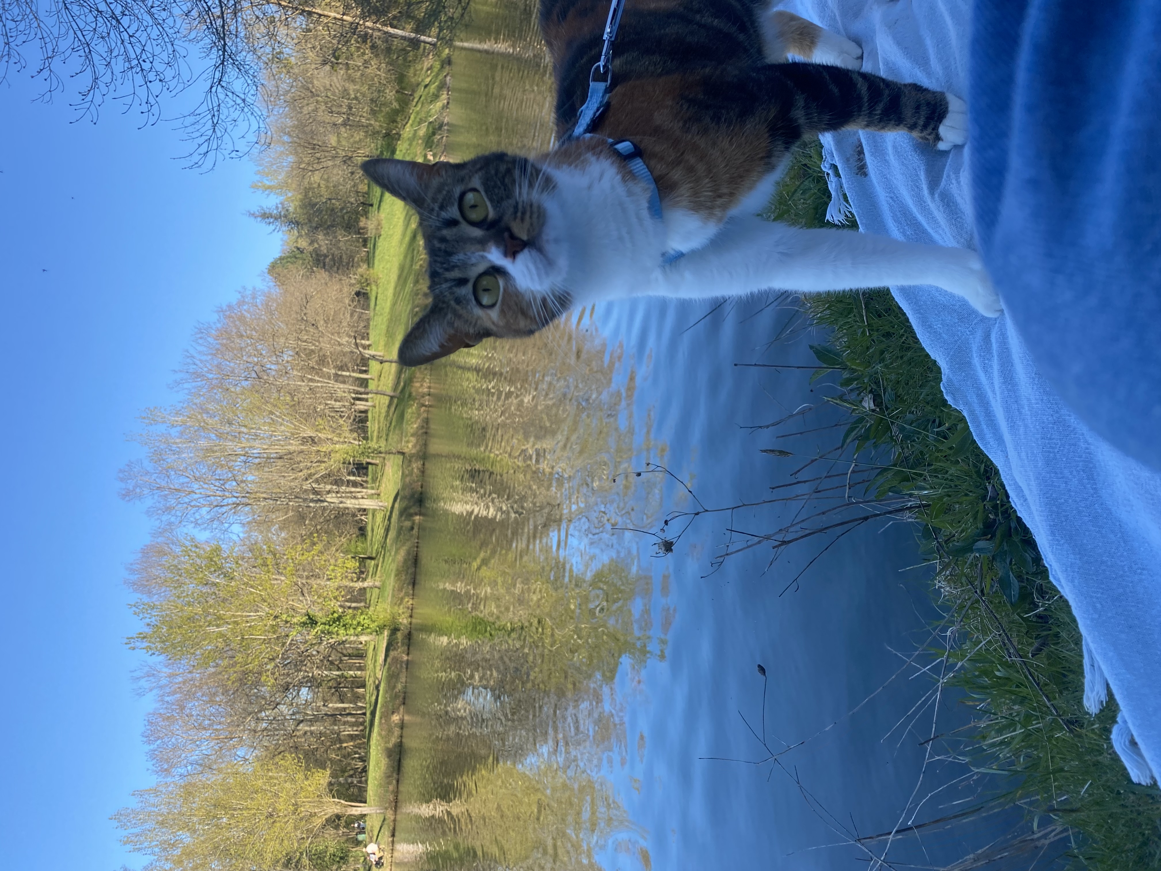image-4