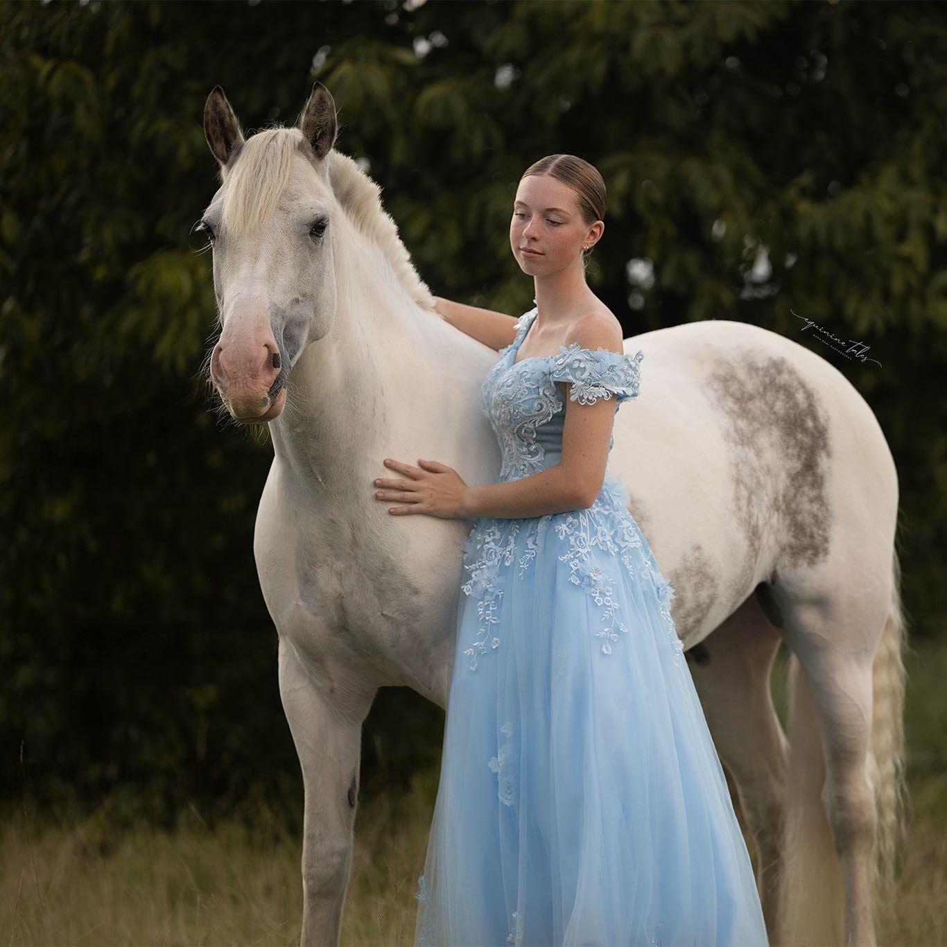 Elsa