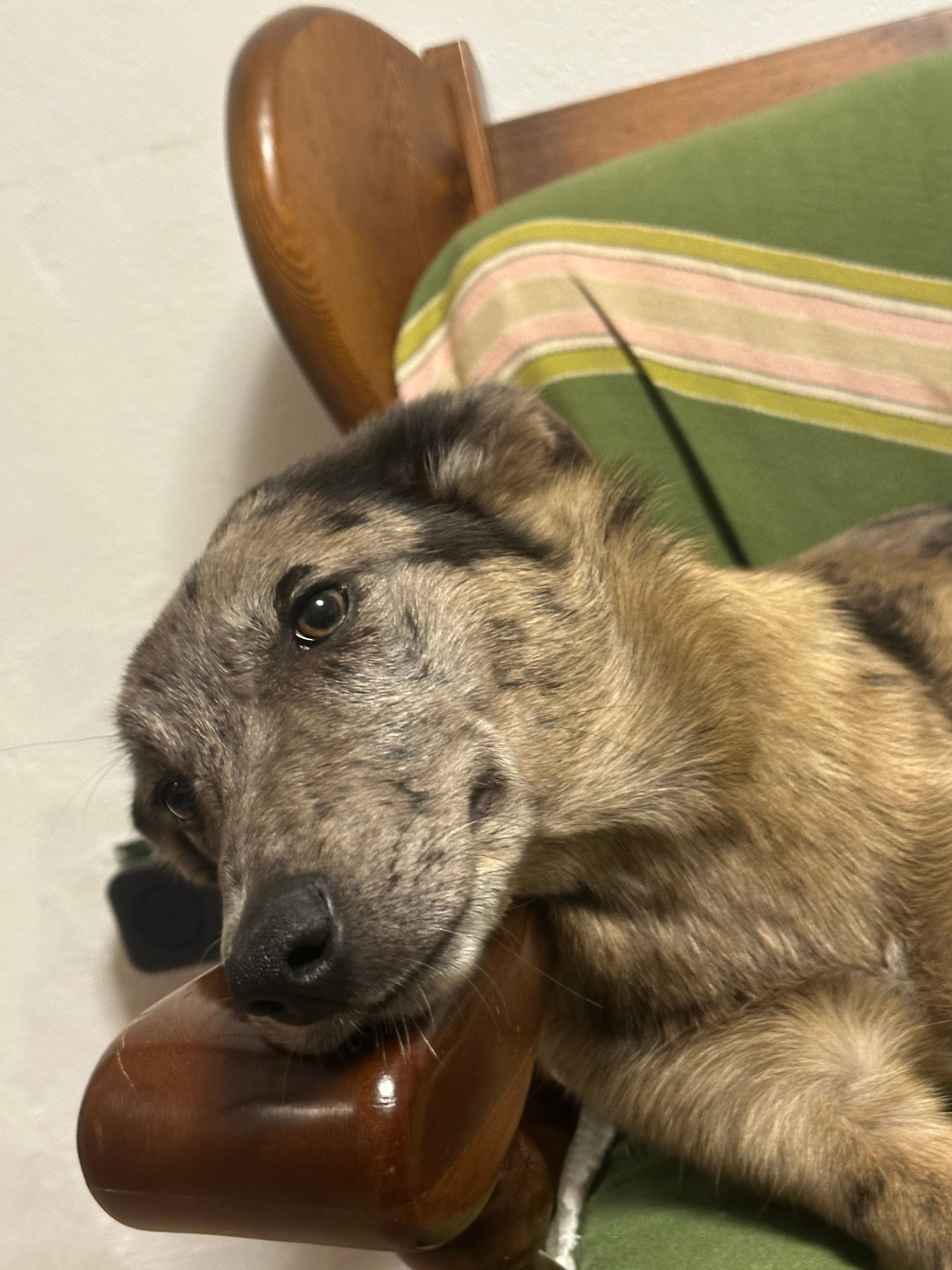 image-6