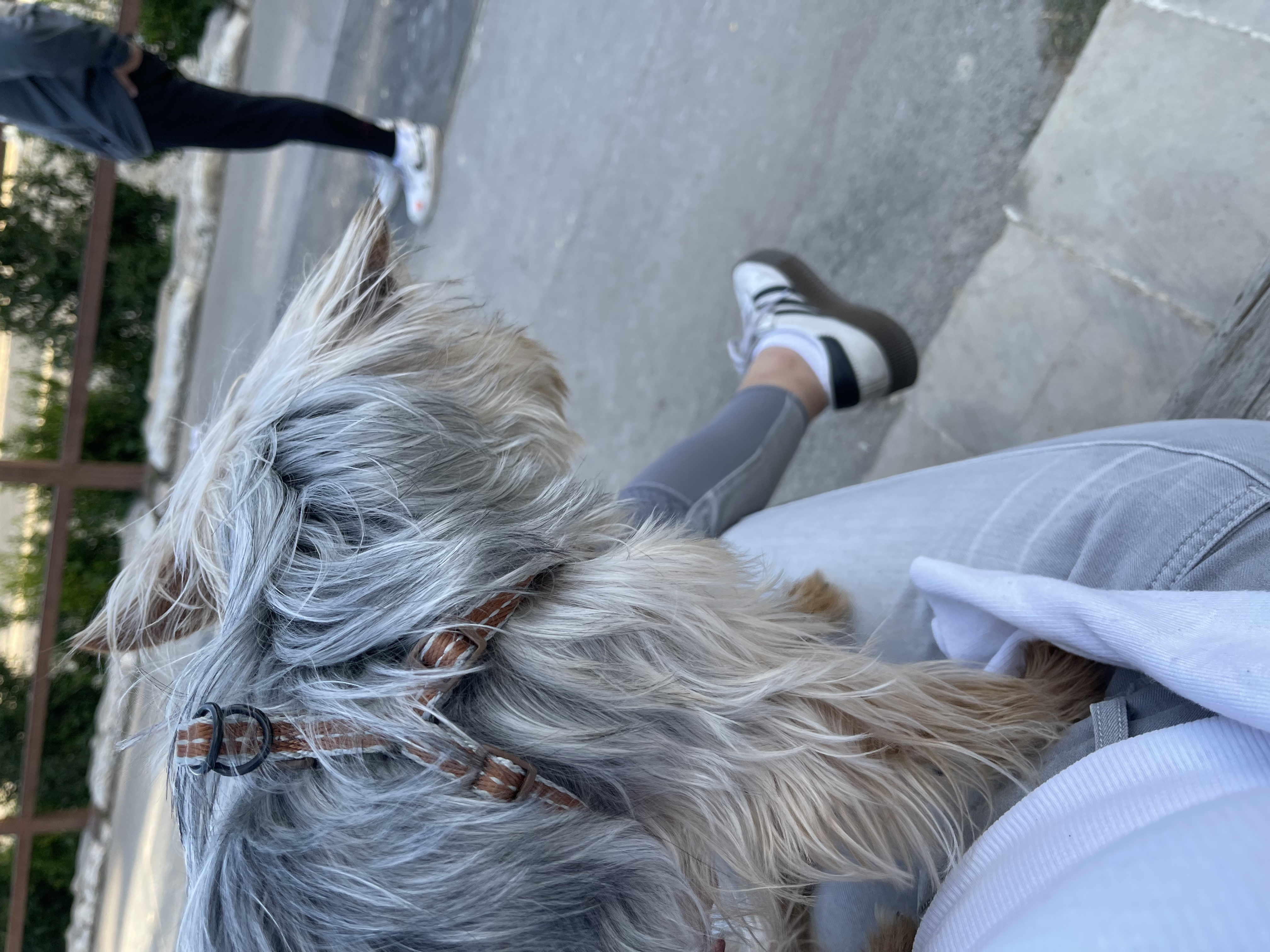 image-10