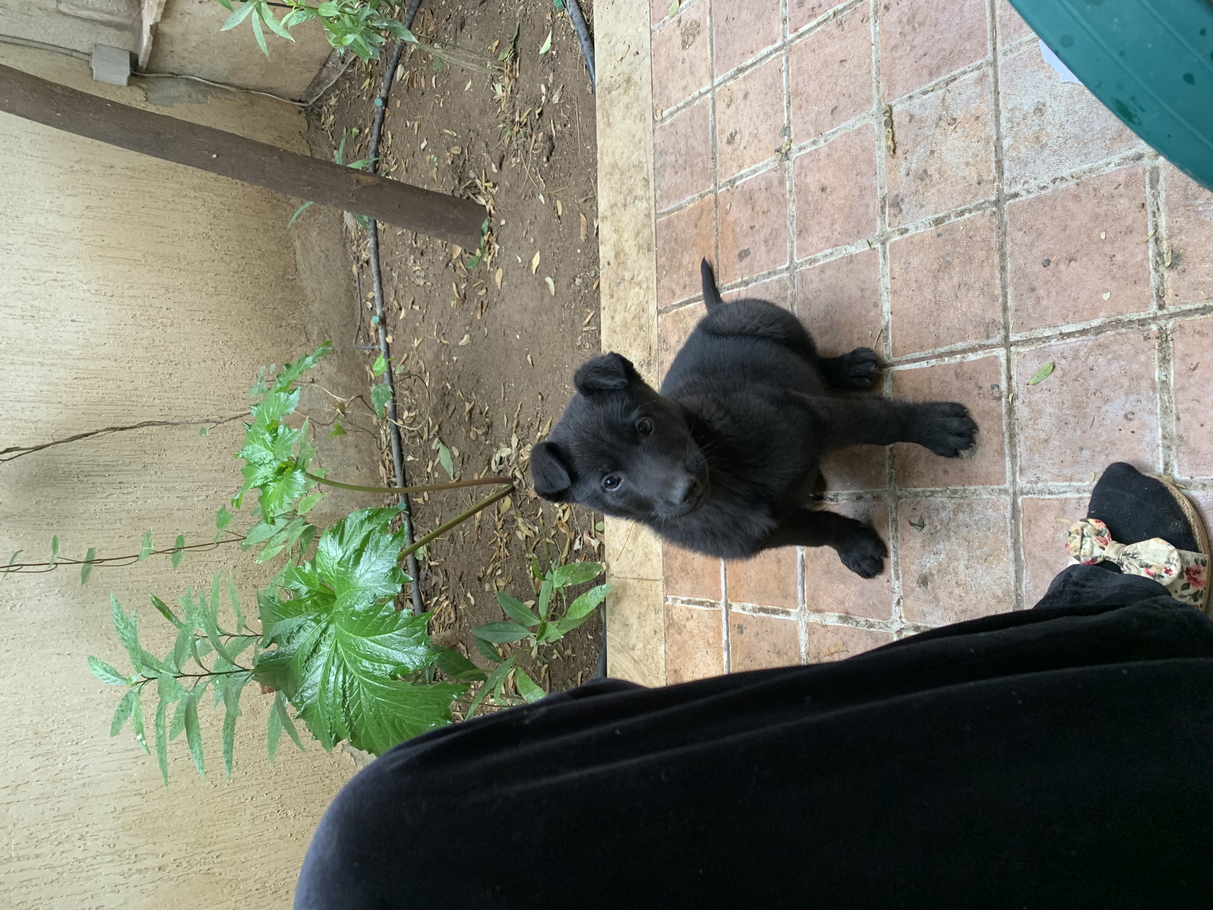 image-8
