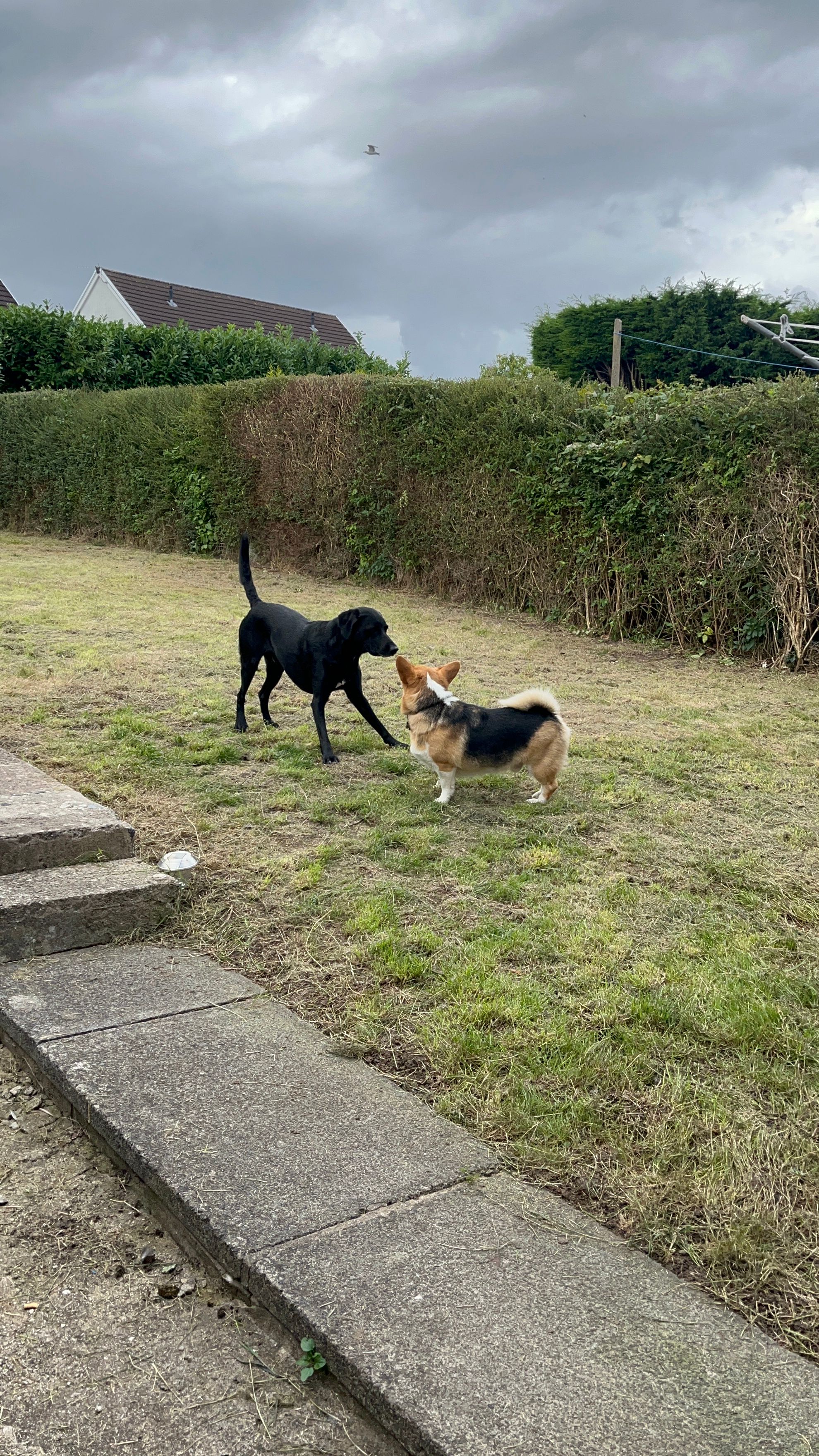 image-20