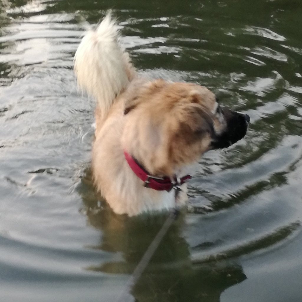 Fiona