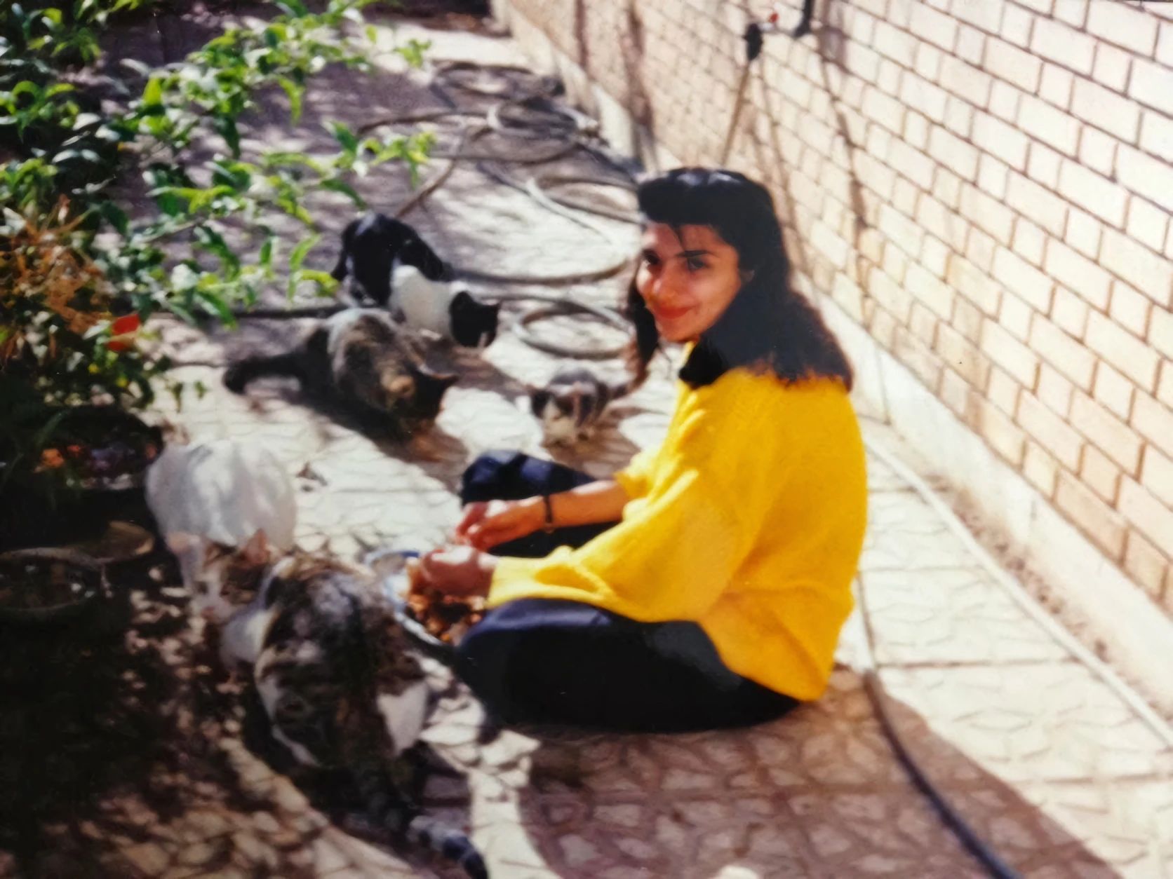 image-4