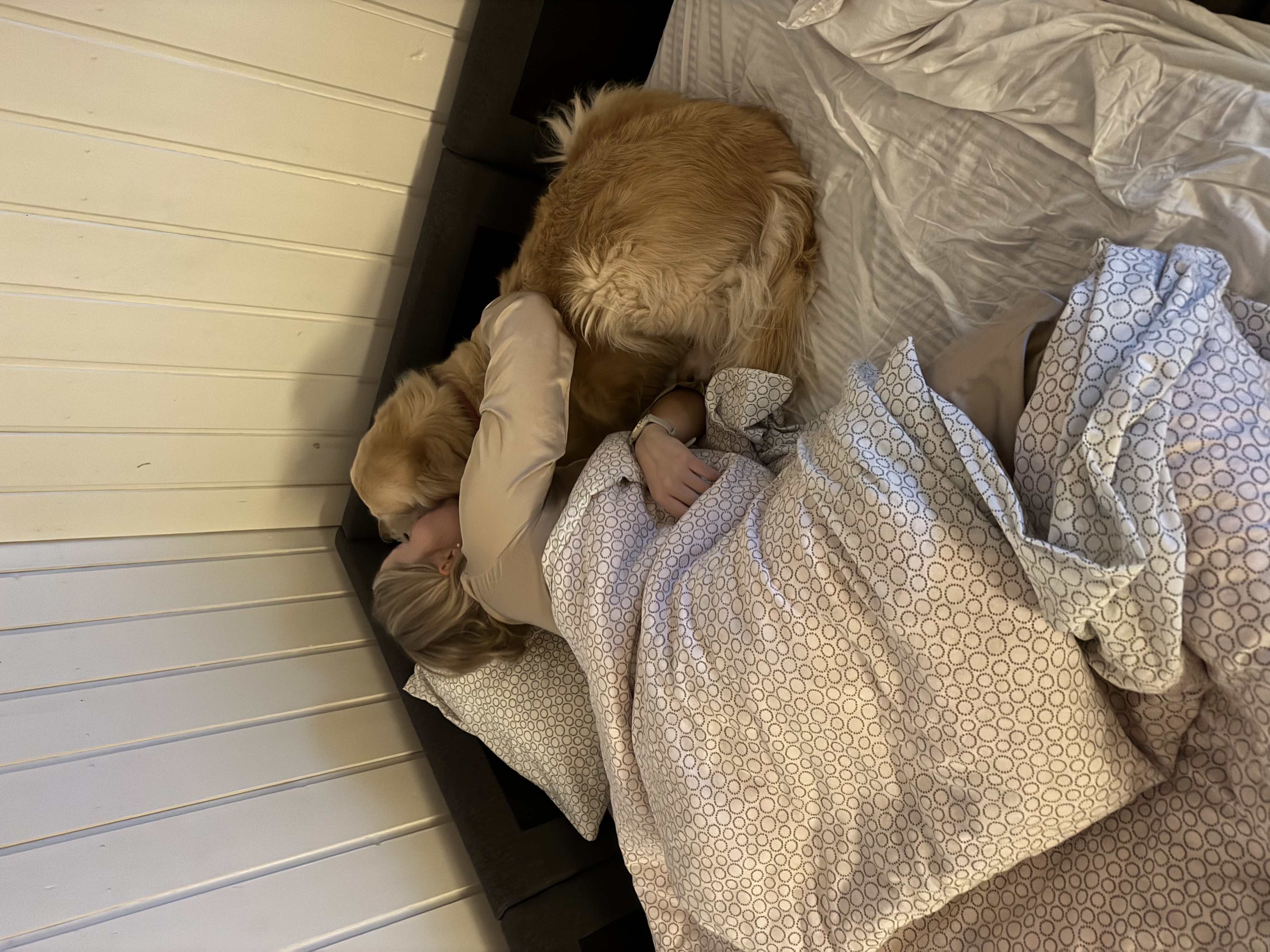 image-8