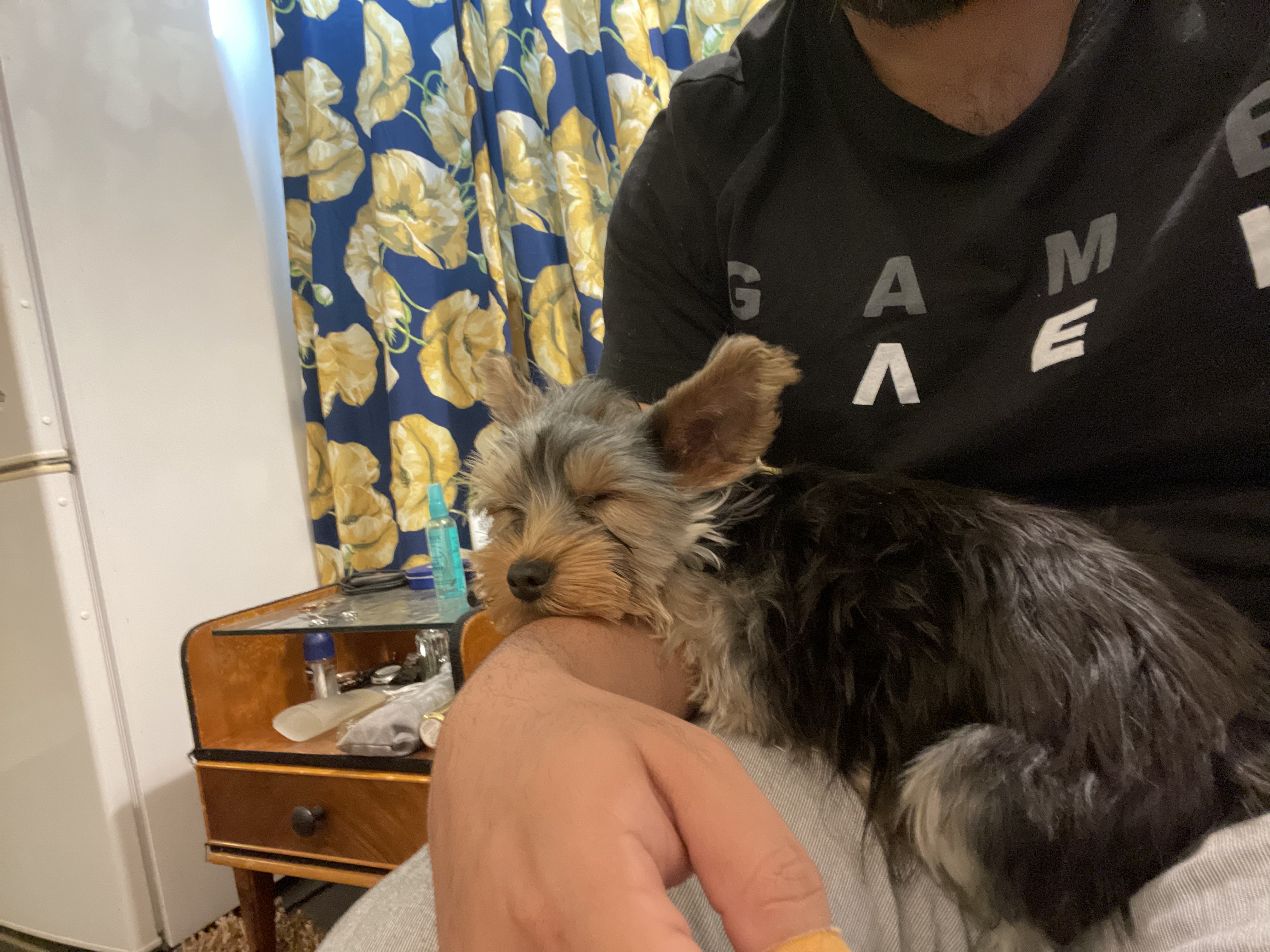 image-11