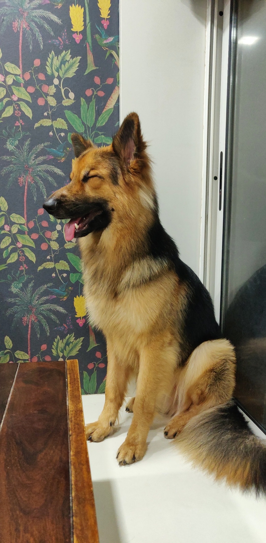 image-7
