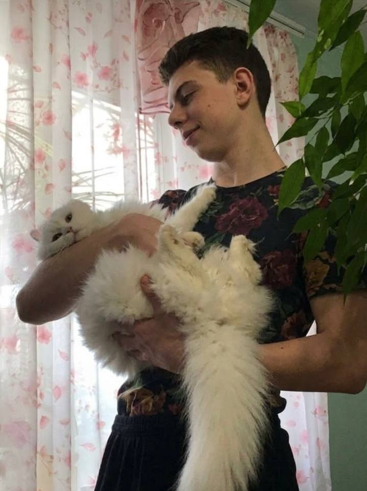 image-6